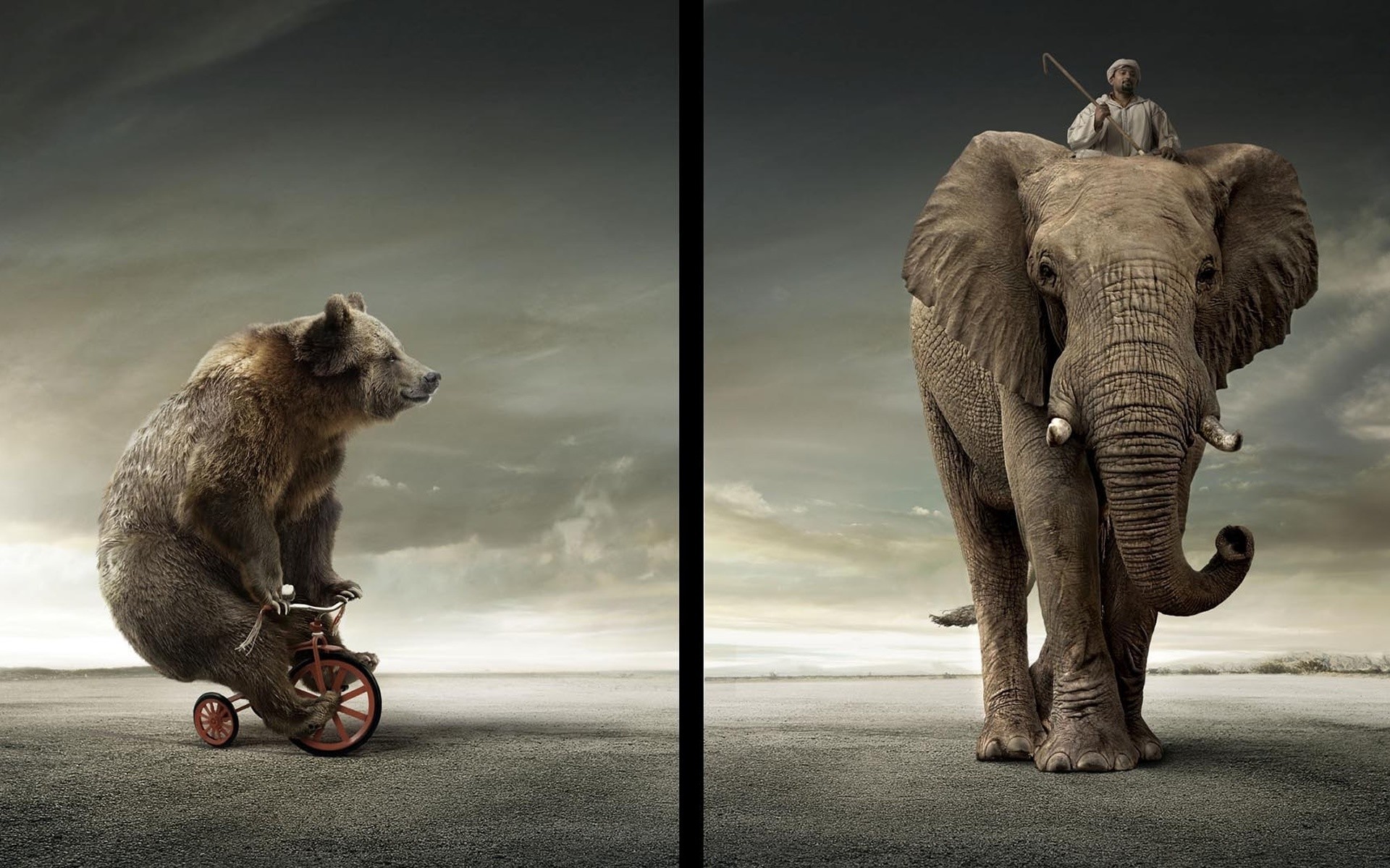 animals mammal animal elephant one wildlife portrait two digital art elephants