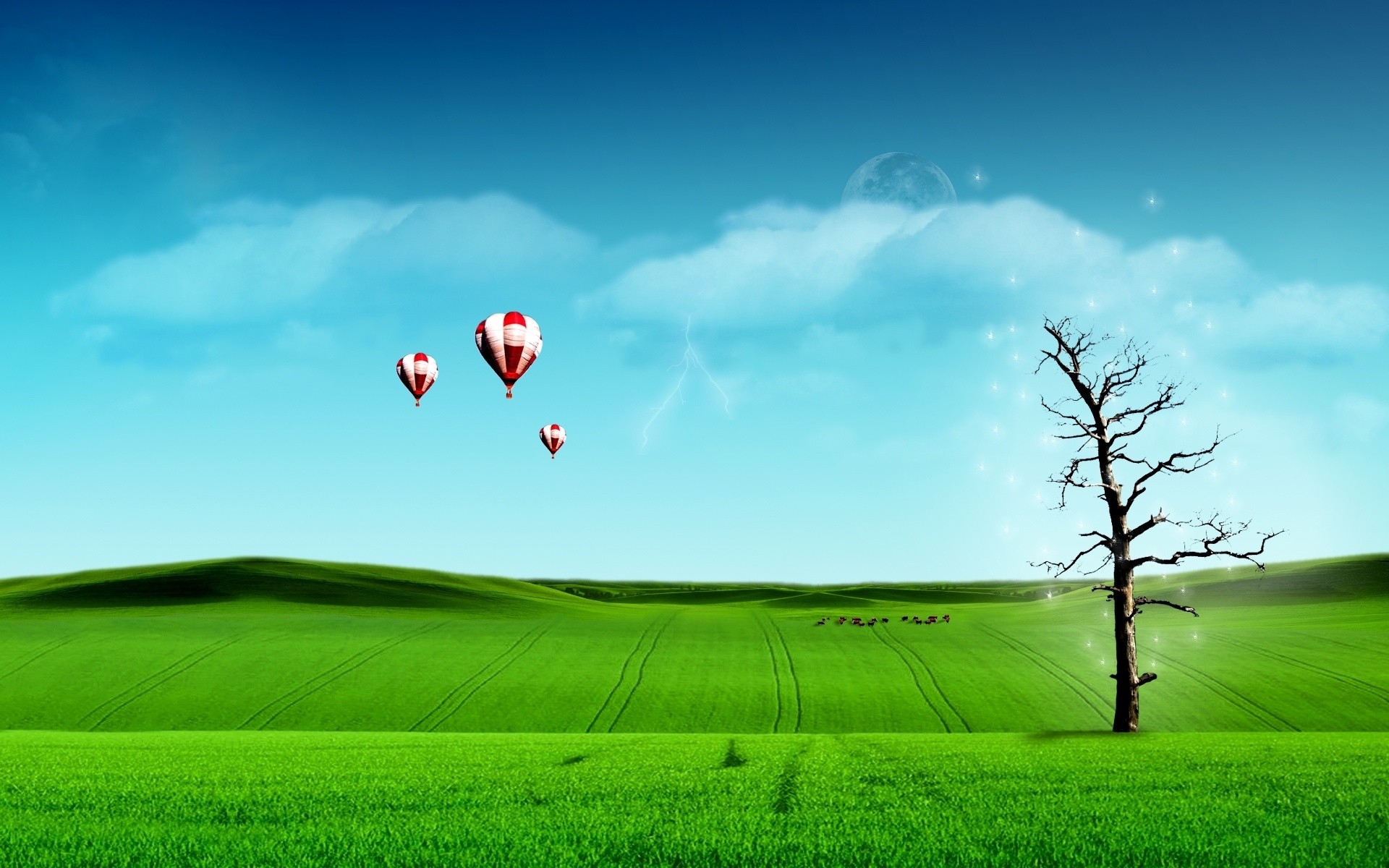 landscapes field grass sky landscape hayfield nature cloud sun summer rural countryside freedom pasture cloudy fair weather sunset farm outdoors country green