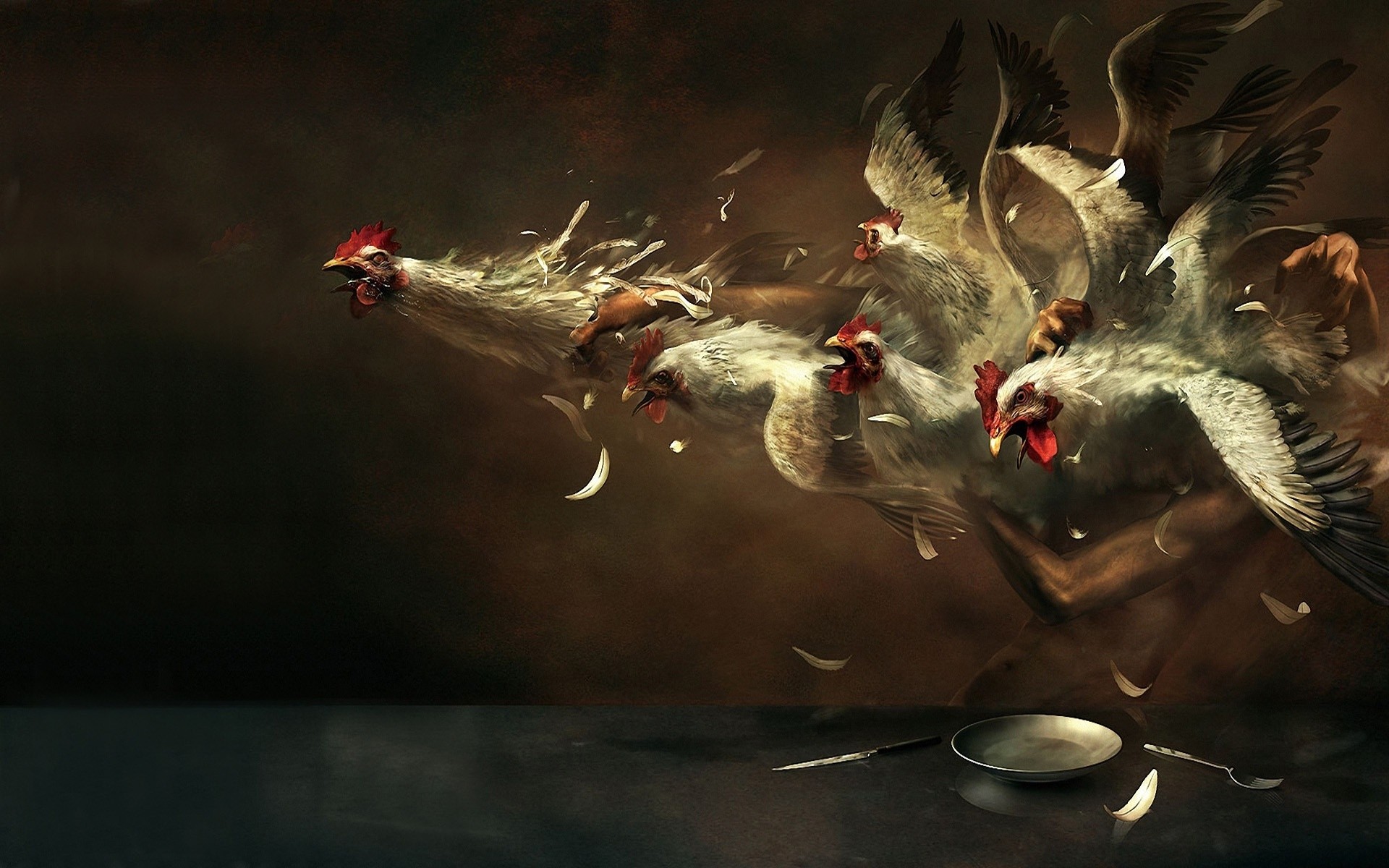 animals bird poultry competition water action duck wildlife pigeon motion animal swimming chickens