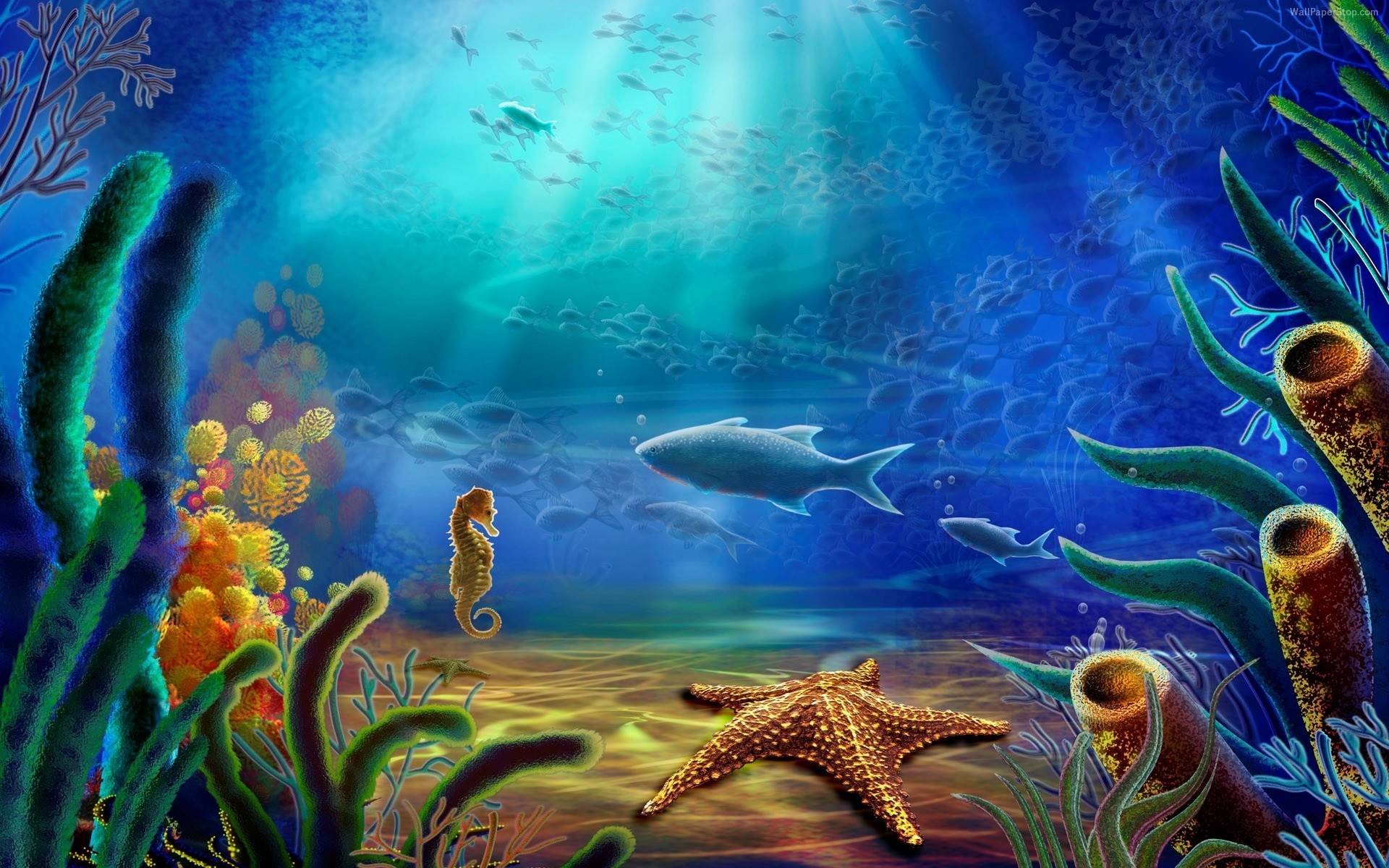 fantasy underwater fish coral water aquarium reef ocean sea diving swimming invertebrate deep