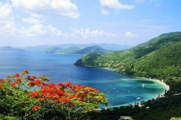 Tropical islands with beautiful landscapes