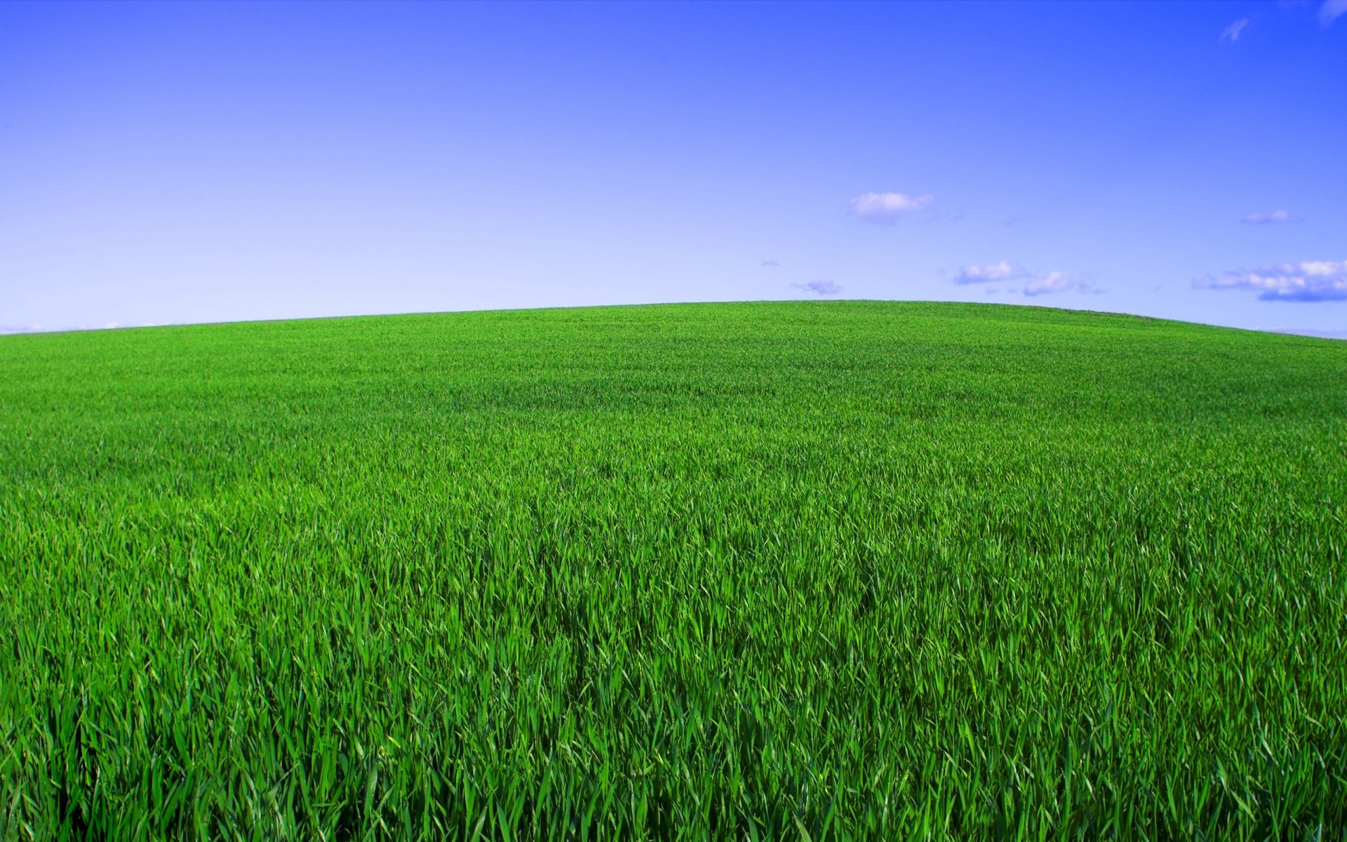 landscapes field rural grass farm pasture hayfield countryside growth horizon landscape agriculture soil nature lawn summer fair weather sun idyllic green sky