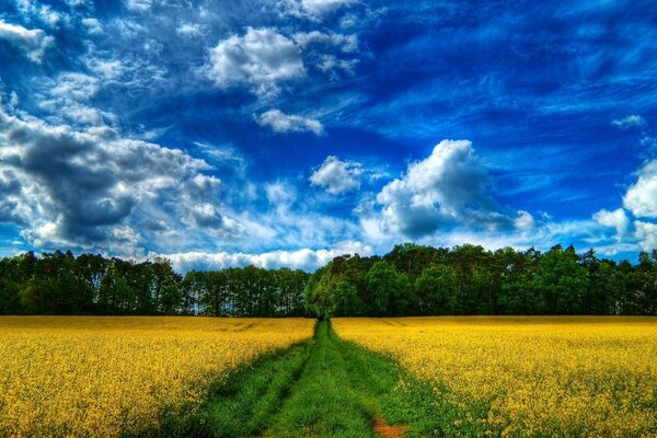 The never-to-be-forgotten nature of rural landscapes