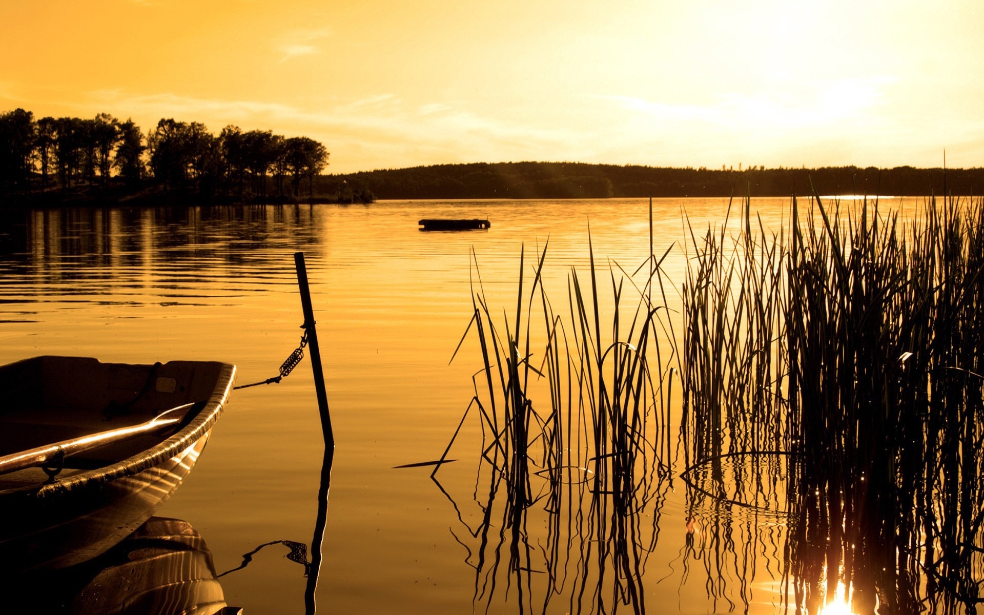 landscapes sunset water dawn reflection lake evening dusk nature sun river composure sky reed landscape outdoors summer placid fair weather trees plants boat