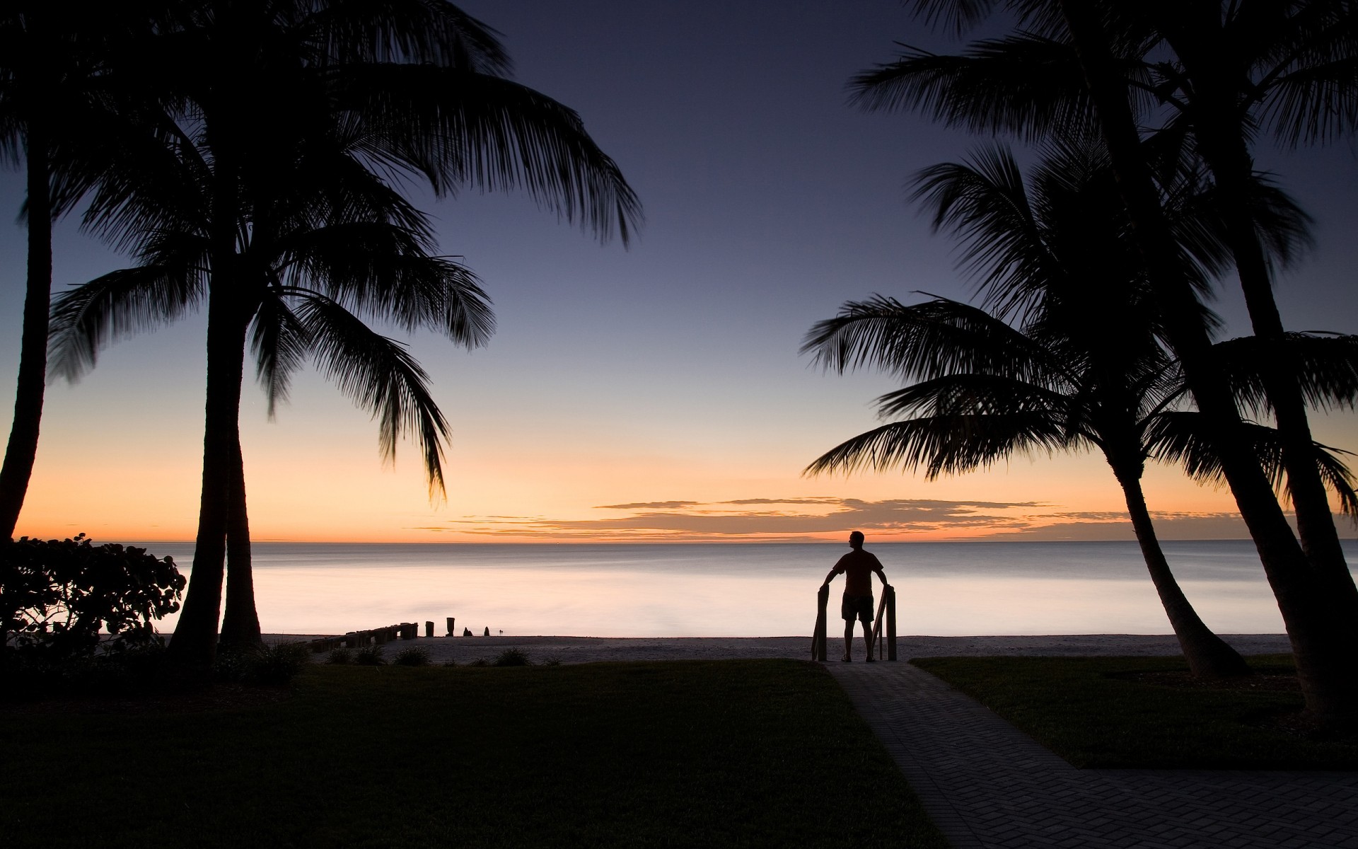 summer beach ocean seashore water sand sun tropical travel tree island sunset idyllic seascape palm palmier