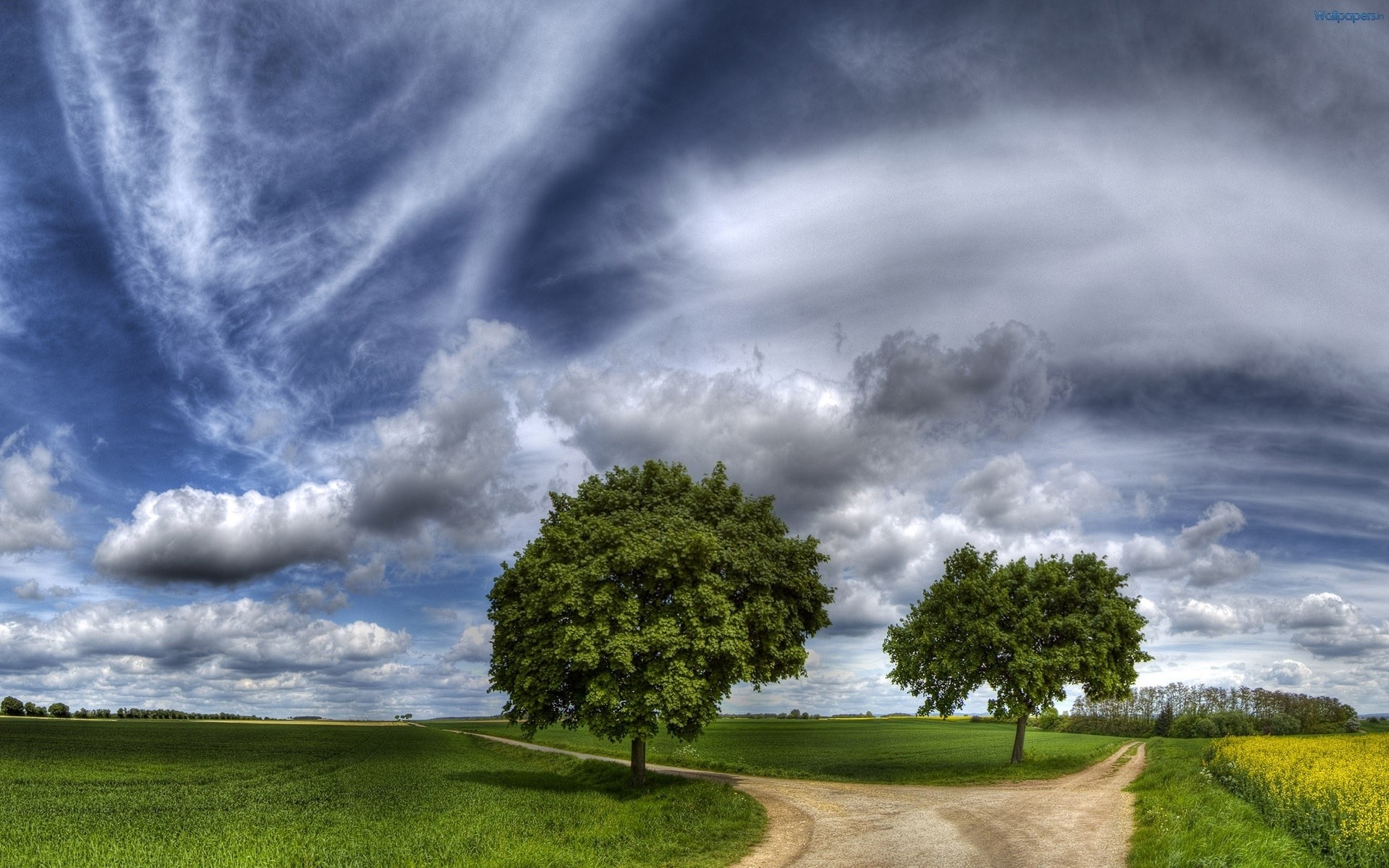 landscapes storm sky nature landscape grass outdoors rural weather cloud rain thunderstorm countryside summer dramatic tree sun sunset fair weather cloudy green background
