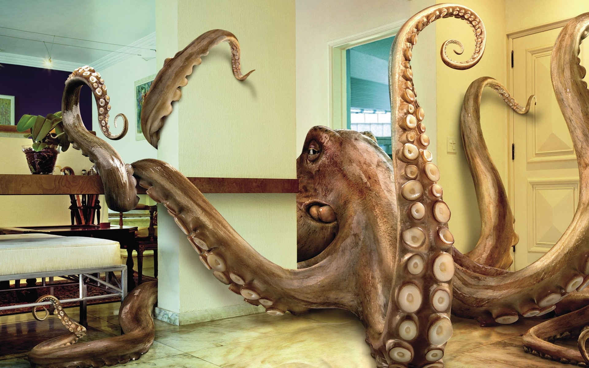 photo manipulation museum furniture wood decoration sculpture indoors old art octopus