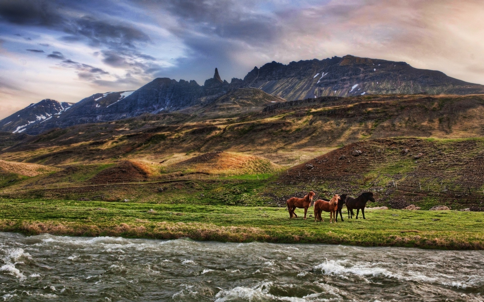 animals mountain landscape travel outdoors water sky nature scenic valley snow grass lake daylight horse