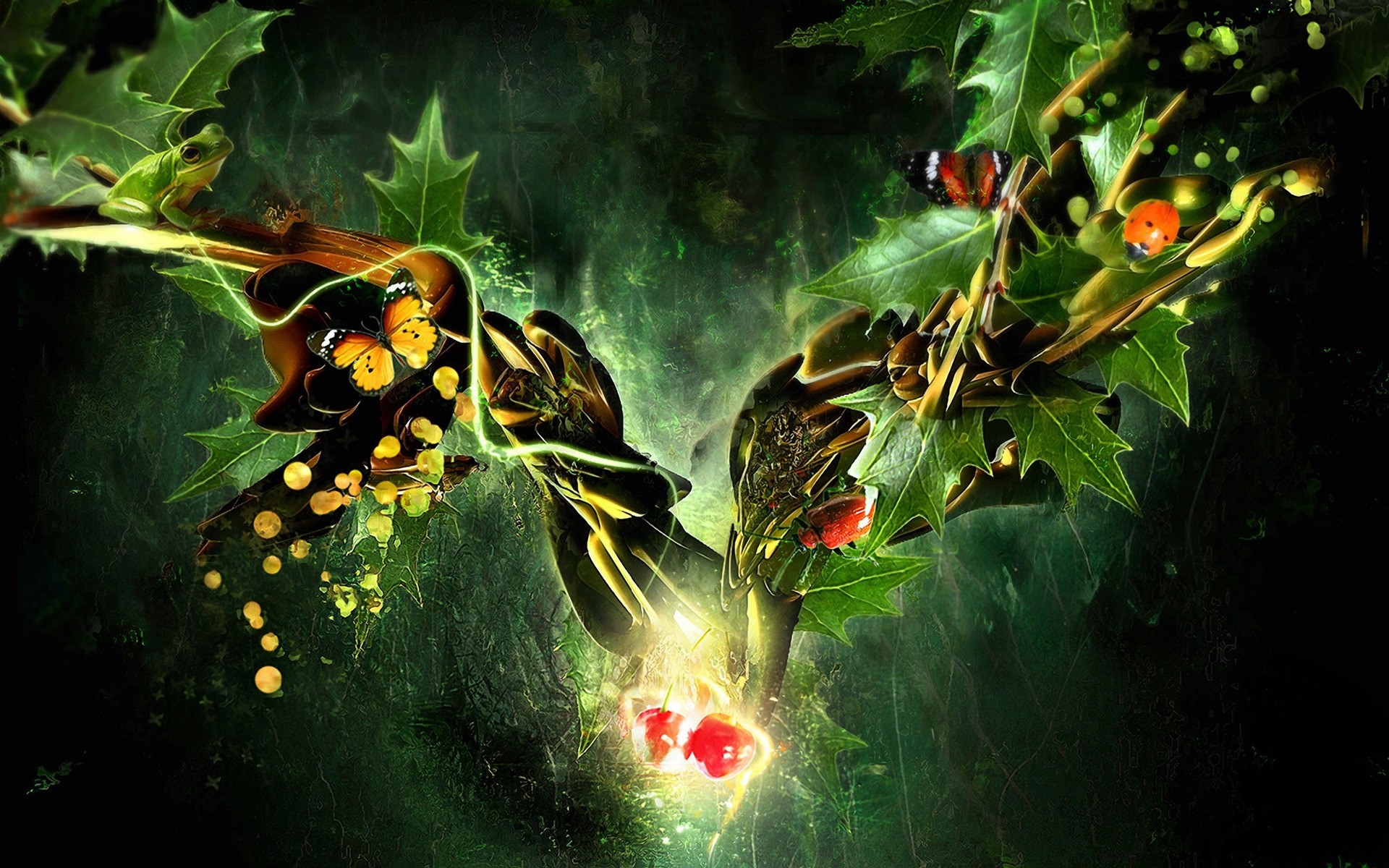 abstract nature leaf tree flora color food fruits plants