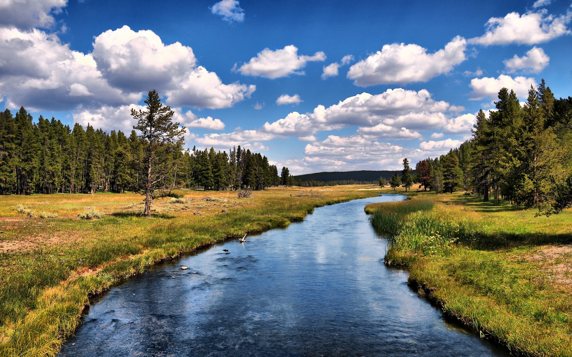 landscapes water nature landscape outdoors lake wood river reflection grass tree sky travel summer composure rivers trees wyoming yellowstone national park hdr