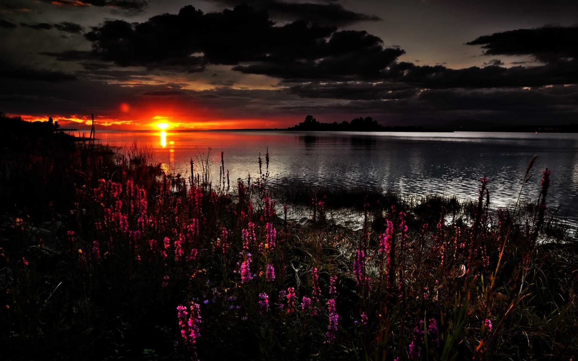 landscapes sunset dawn water dusk evening landscape outdoors sun lake light sky nature flowers clouds secenery