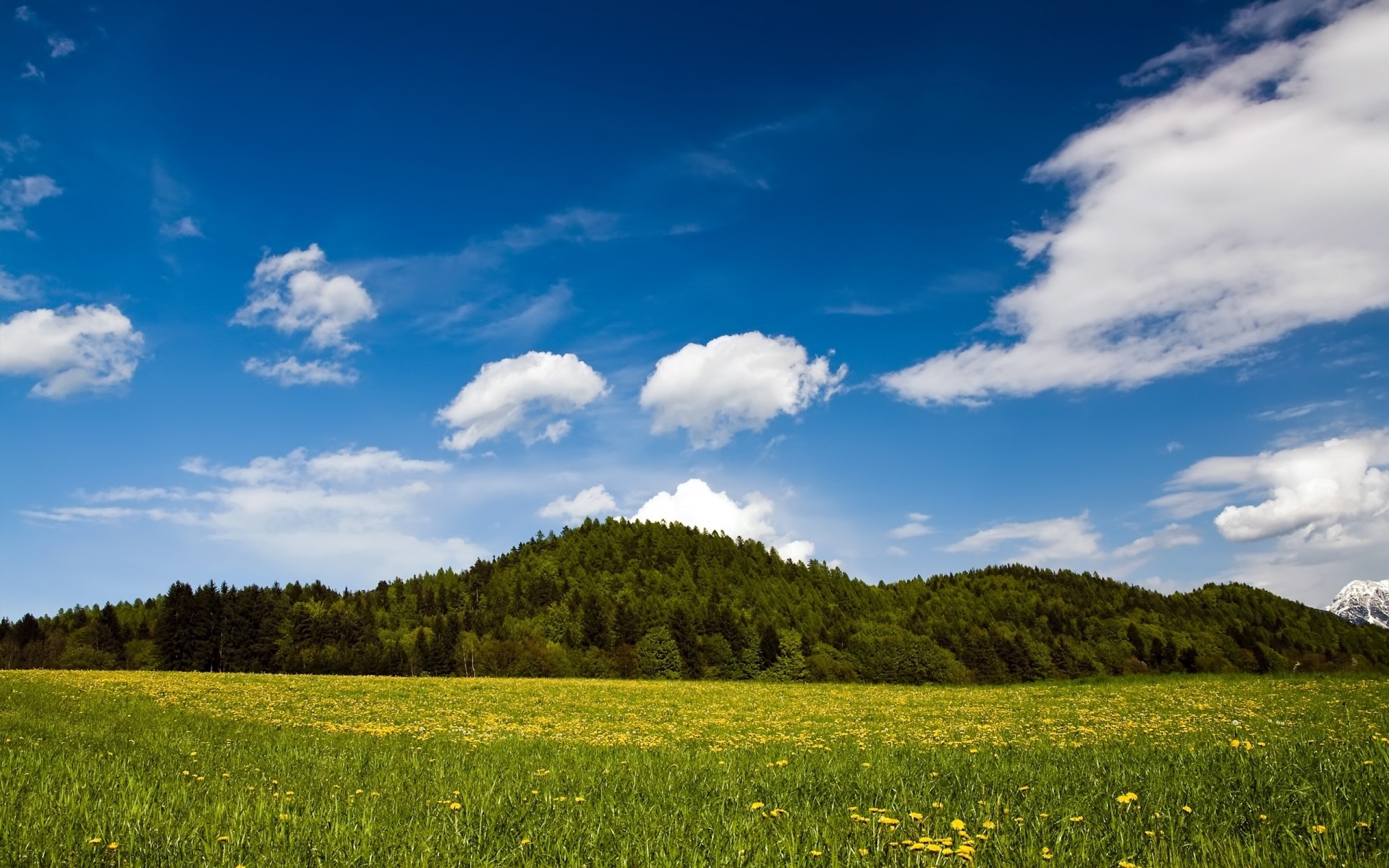 spring landscape sky nature field summer grass outdoors rural cloud countryside tree agriculture fair weather pasture farm sun hayfield idyllic horizon