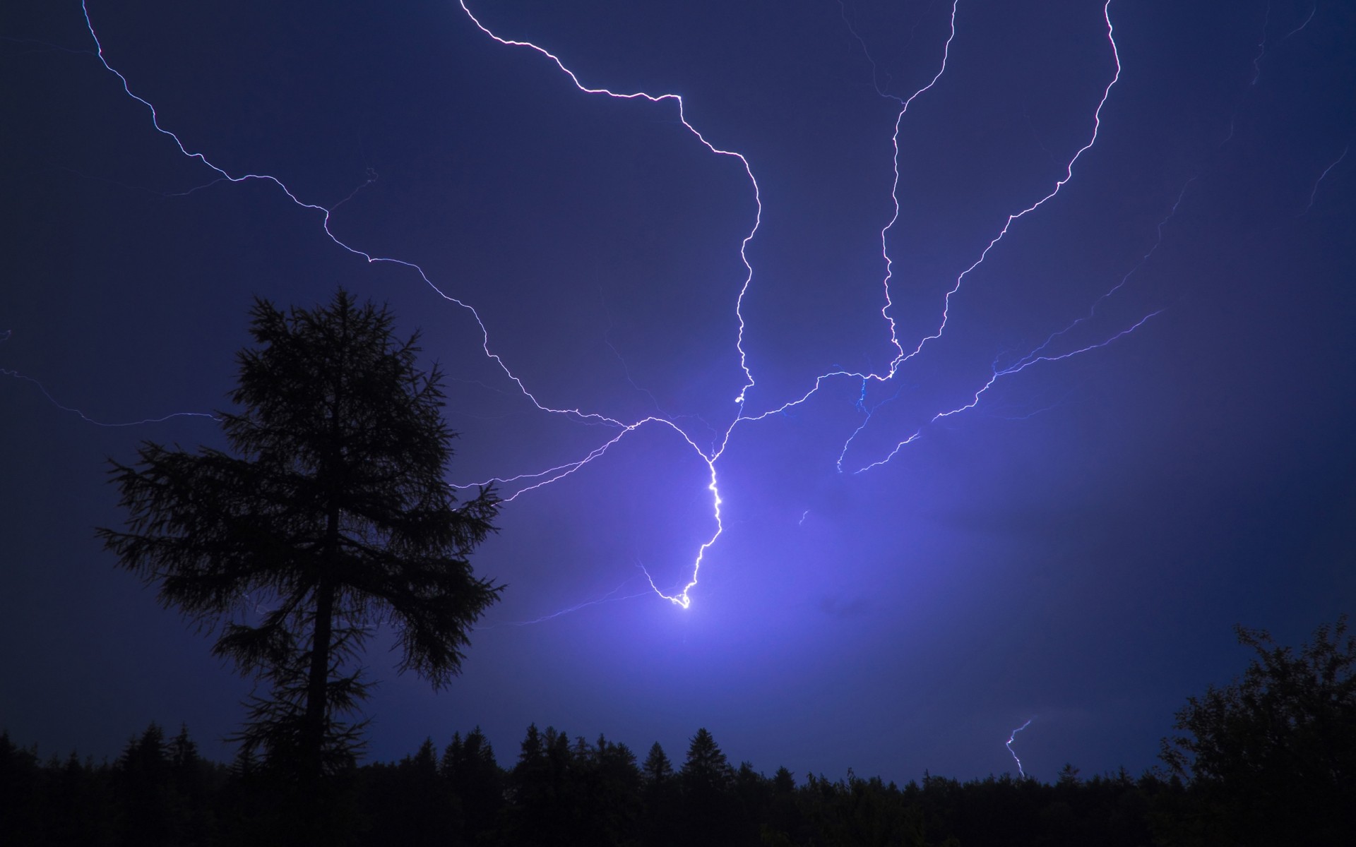 landscapes lightning storm thunder sky silhouette thunderstorm evening dark sunset weather tree thunderbolt rain light nature dusk outdoors flash landscape