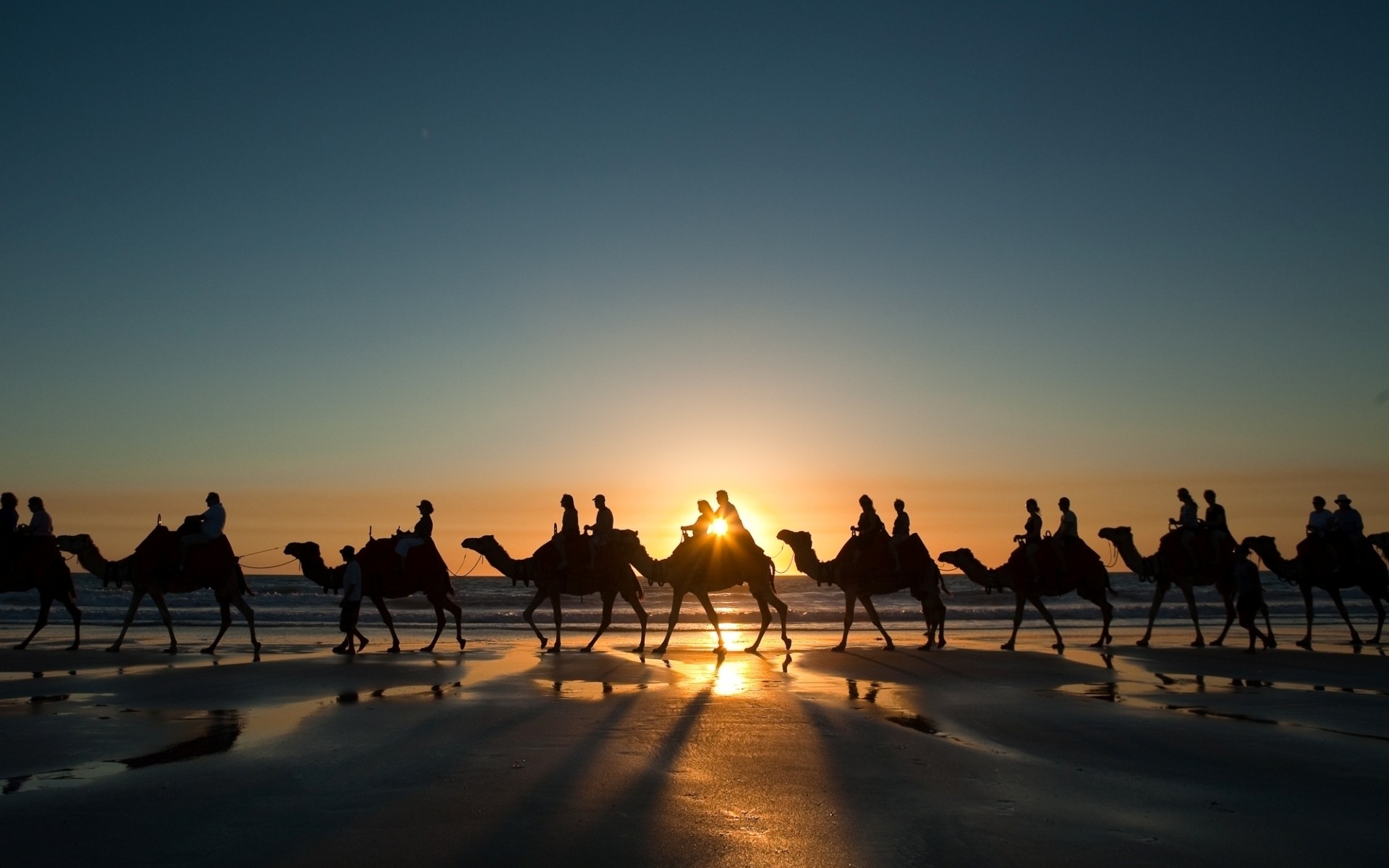 animals sunset silhouette dawn travel dusk evening backlit sun sky outdoors group water desert photo