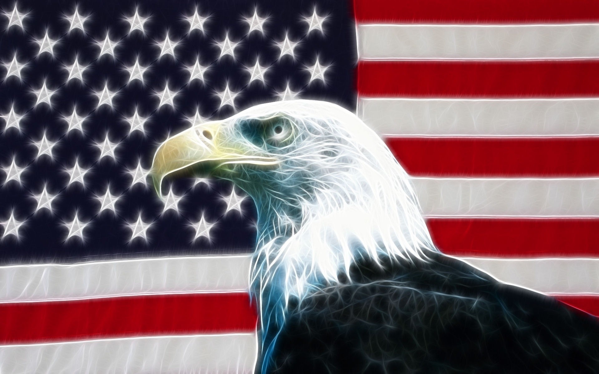 eagle flag patriotism freedom symbol united liberty administration banner proud pride sua animals