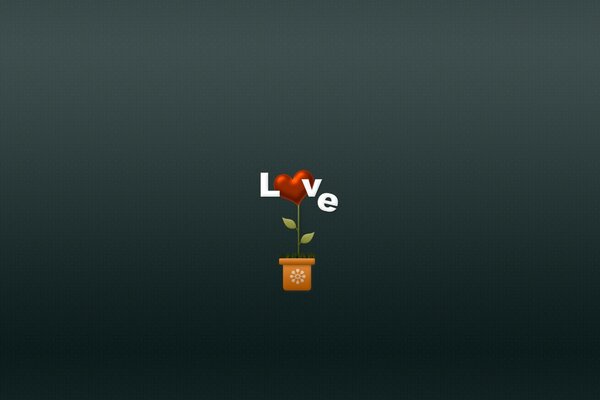 Love, drawing, potted plant