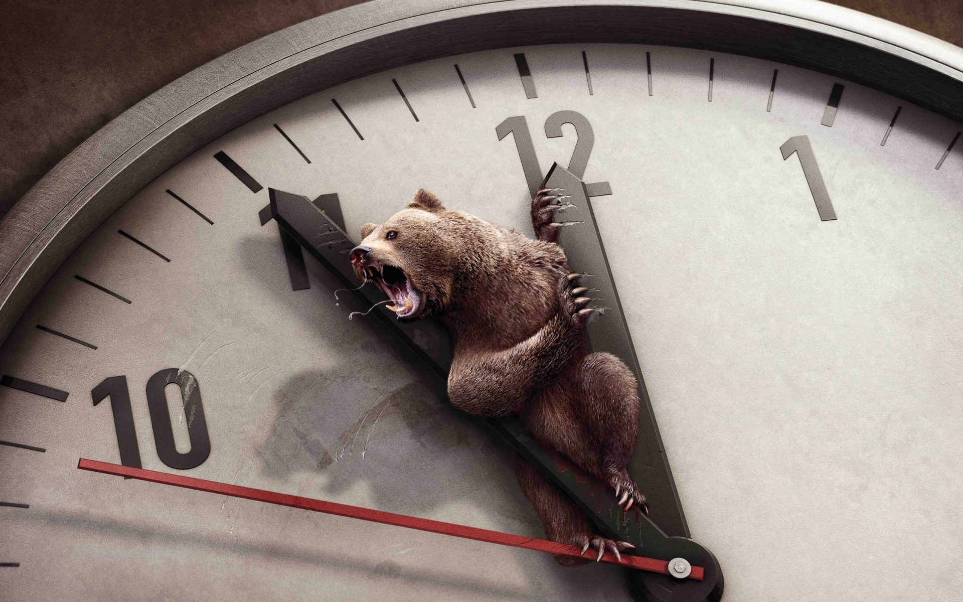 animals clock time minute deadline alarm clock watch late precision midnight timer countdown number rush noon analogue business race reminder bear