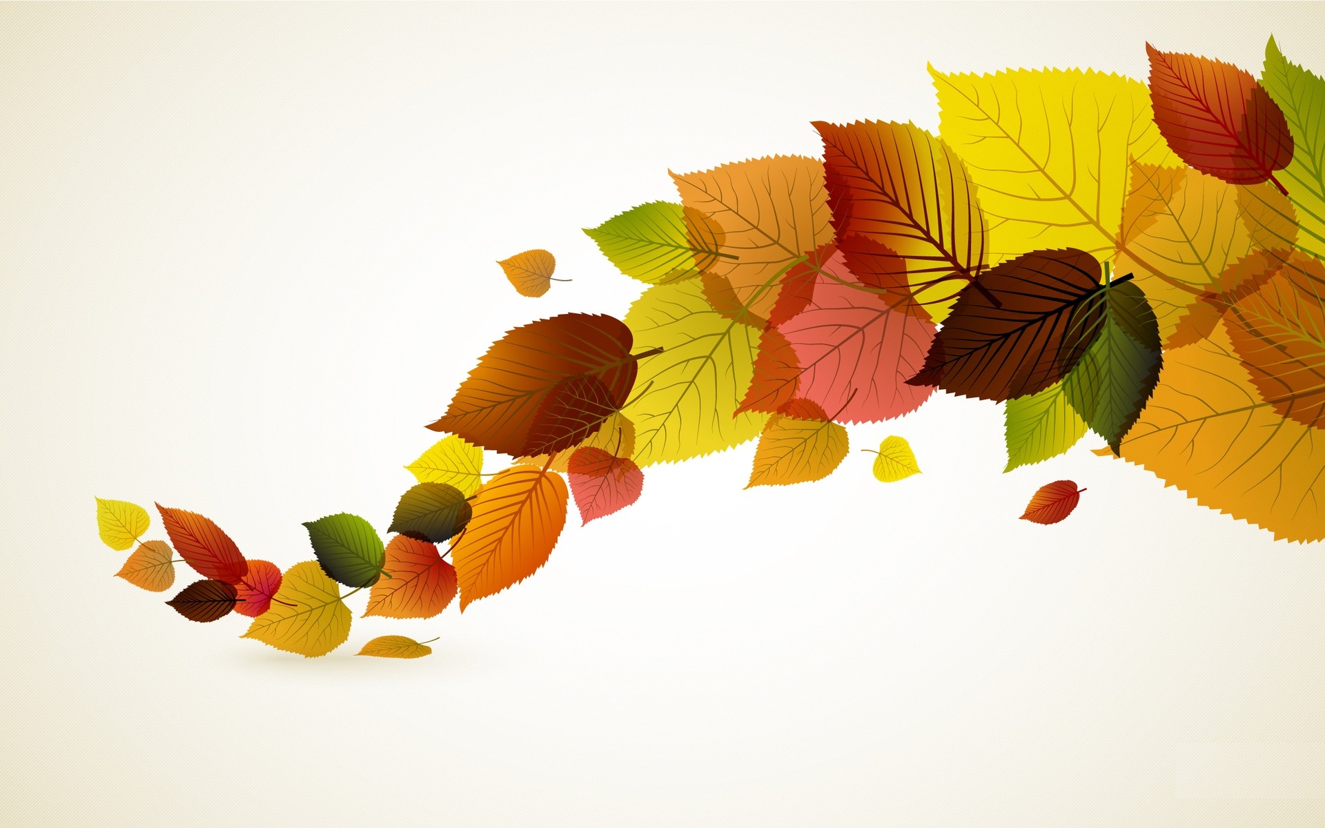 drawings desktop leaf fall color flower beautiful flora tree nature card season background colours