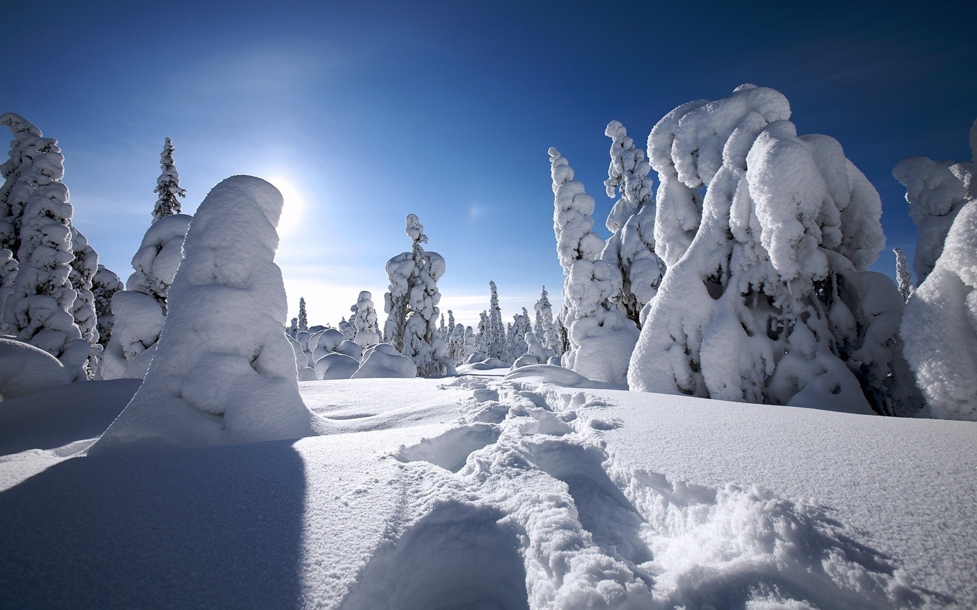 winter snow ice cold frozen frost mountain landscape frosty snowdrift weather scenic winter wallpaper winter landscape