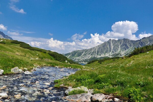 Landscape of a clear mountain river
