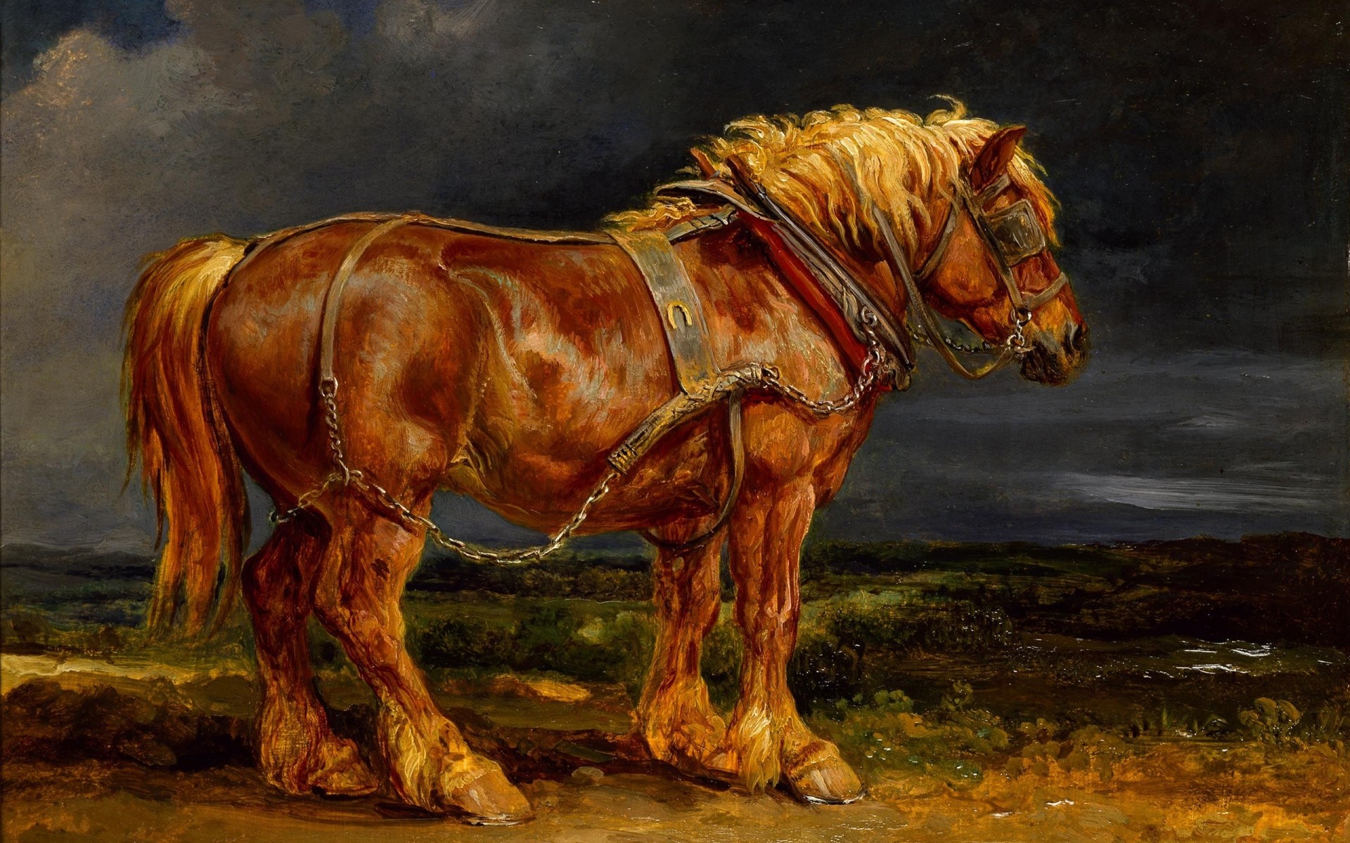 drawings mammal cavalry one