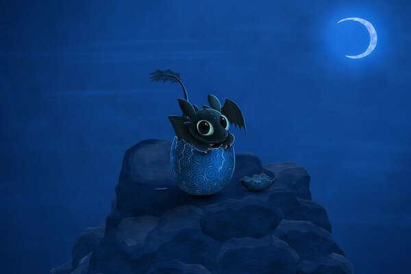 A night dragon hatched from an egg