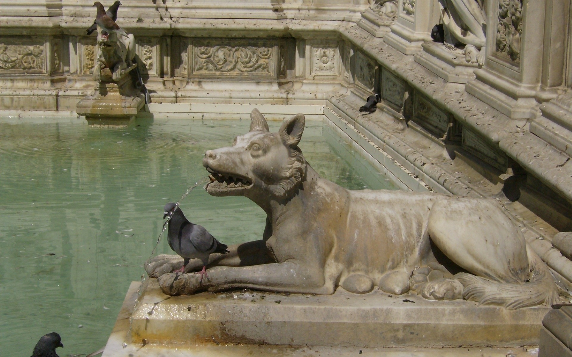 italy sculpture fountain statue art architecture travel building daylight city water mammal museum