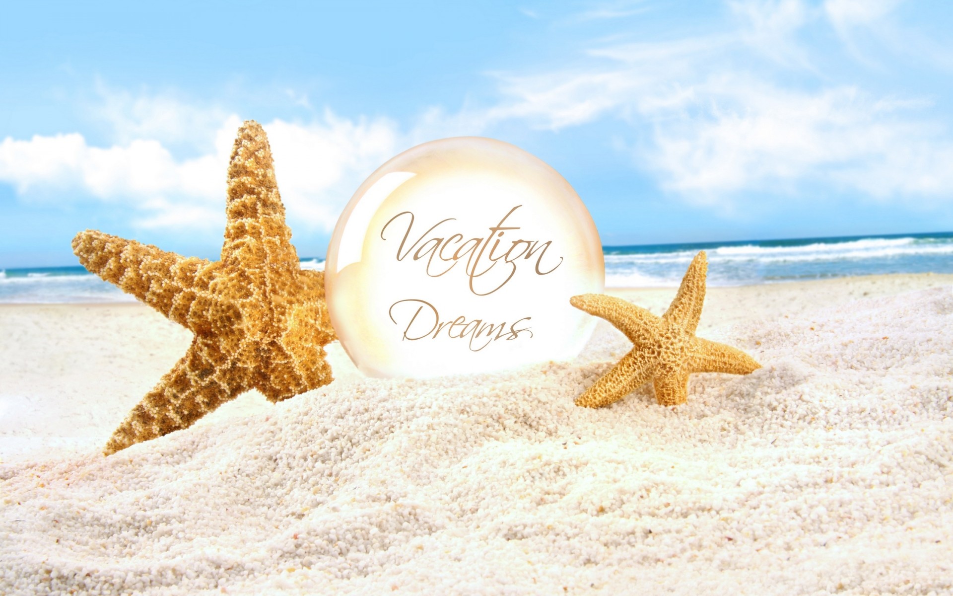 summer starfish sand beach seashell sea seashore echinoderm shell vacation tropical conch ocean nature relaxation travel shore water seaside marine