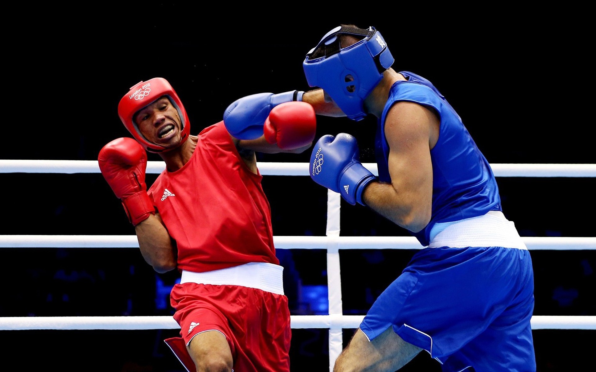 olympic games boxer gloves competition combat punch fighter aggression power strength action knockout fist knock battle champion hit victory athlete strong karate london athelete box olympics