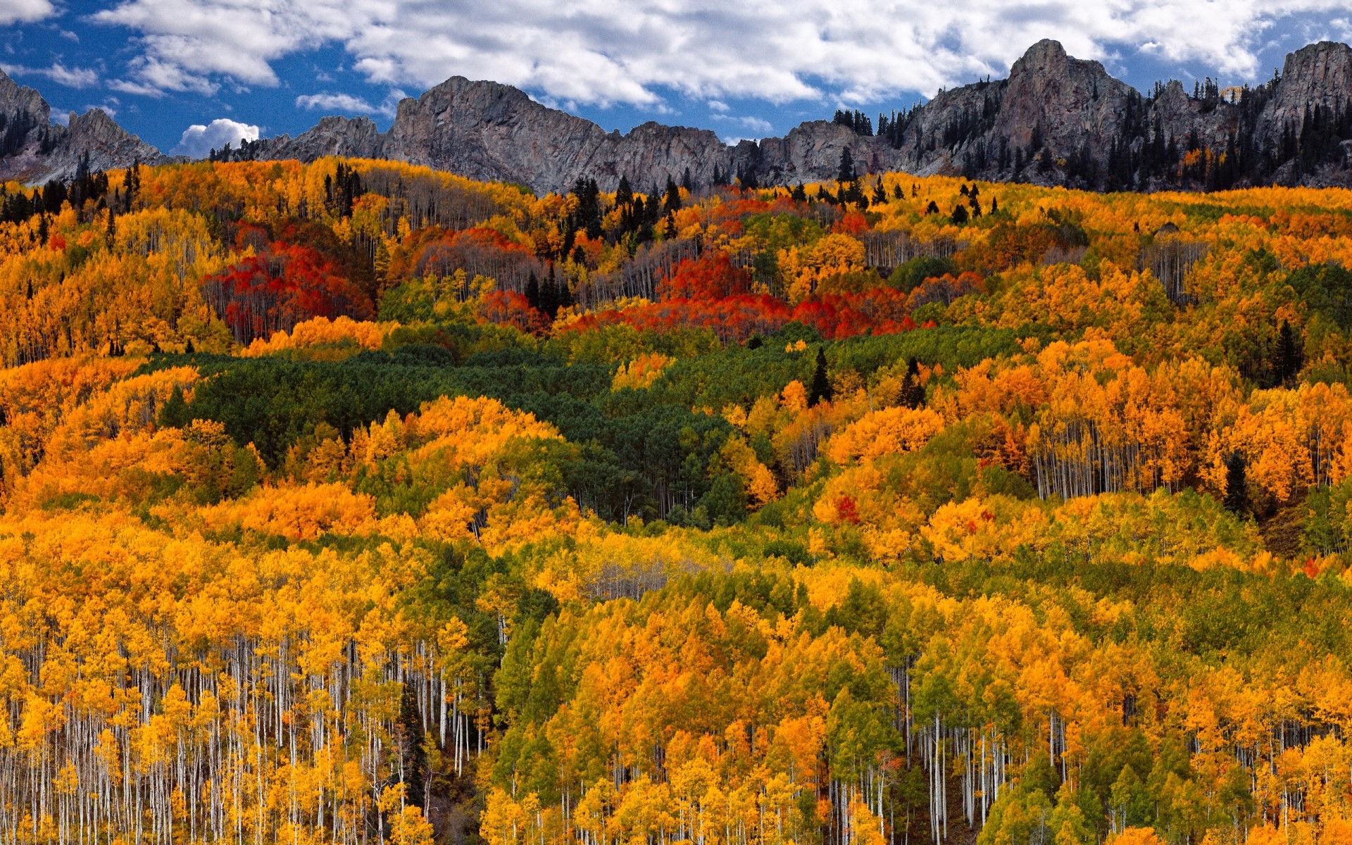 autumn landscape fall nature scenic wood mountain outdoors tree wild leaf scenery daylight background mountains
