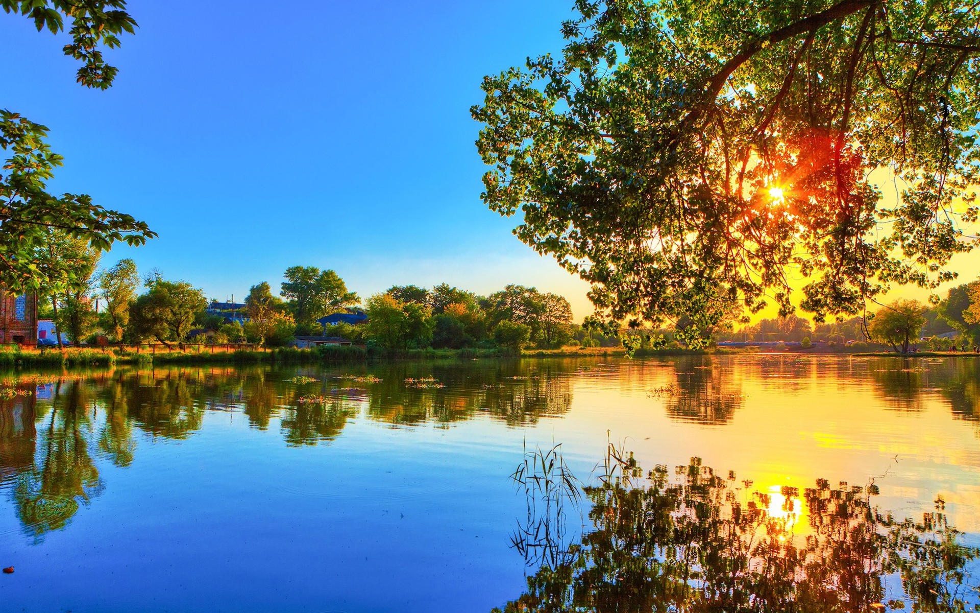 landscapes reflection tree nature lake water landscape outdoors river sky summer pool park sun dawn season fair weather trees blue