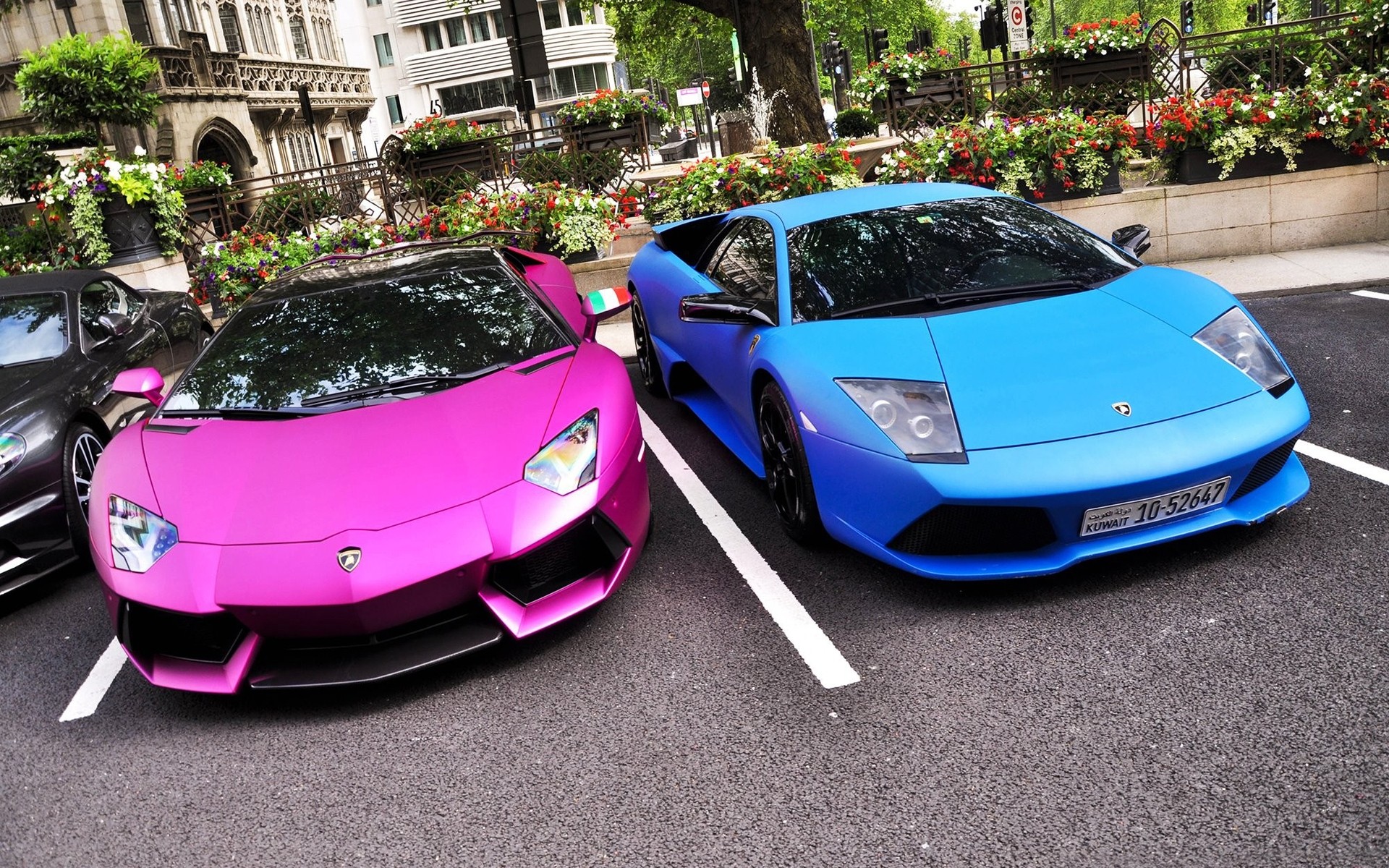 lamborghini car vehicle luxury automotive transportation system pavement road fast drive show hood convertible