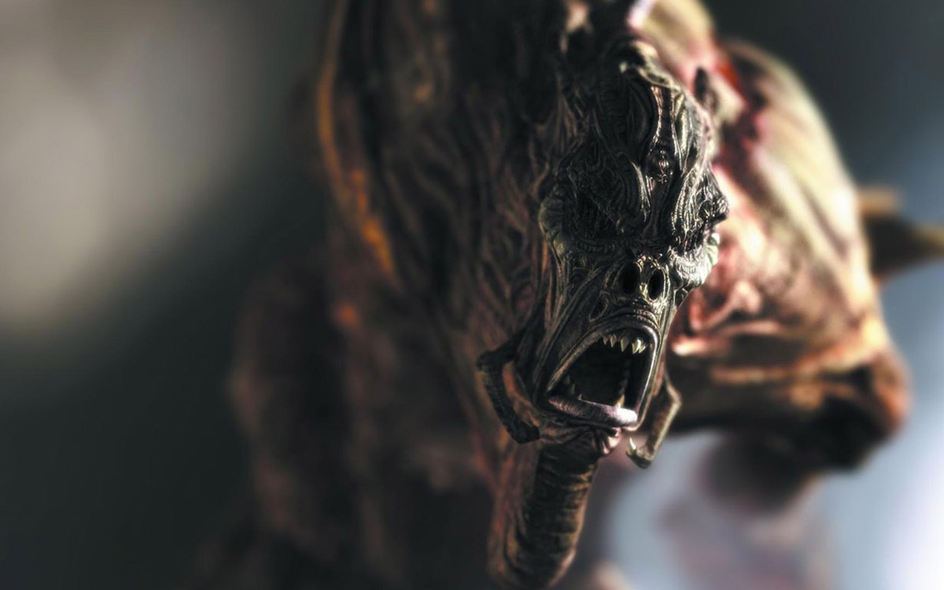 other games nature portrait one animal face bird wildlife blur danger horror monster action battle
