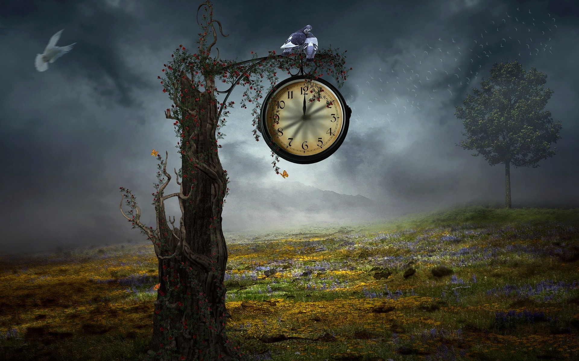 fantasy dawn sunset sky nature fog landscape time early outdoors tree evening sun travel dusk wood clock grass flower tree vintage watch background
