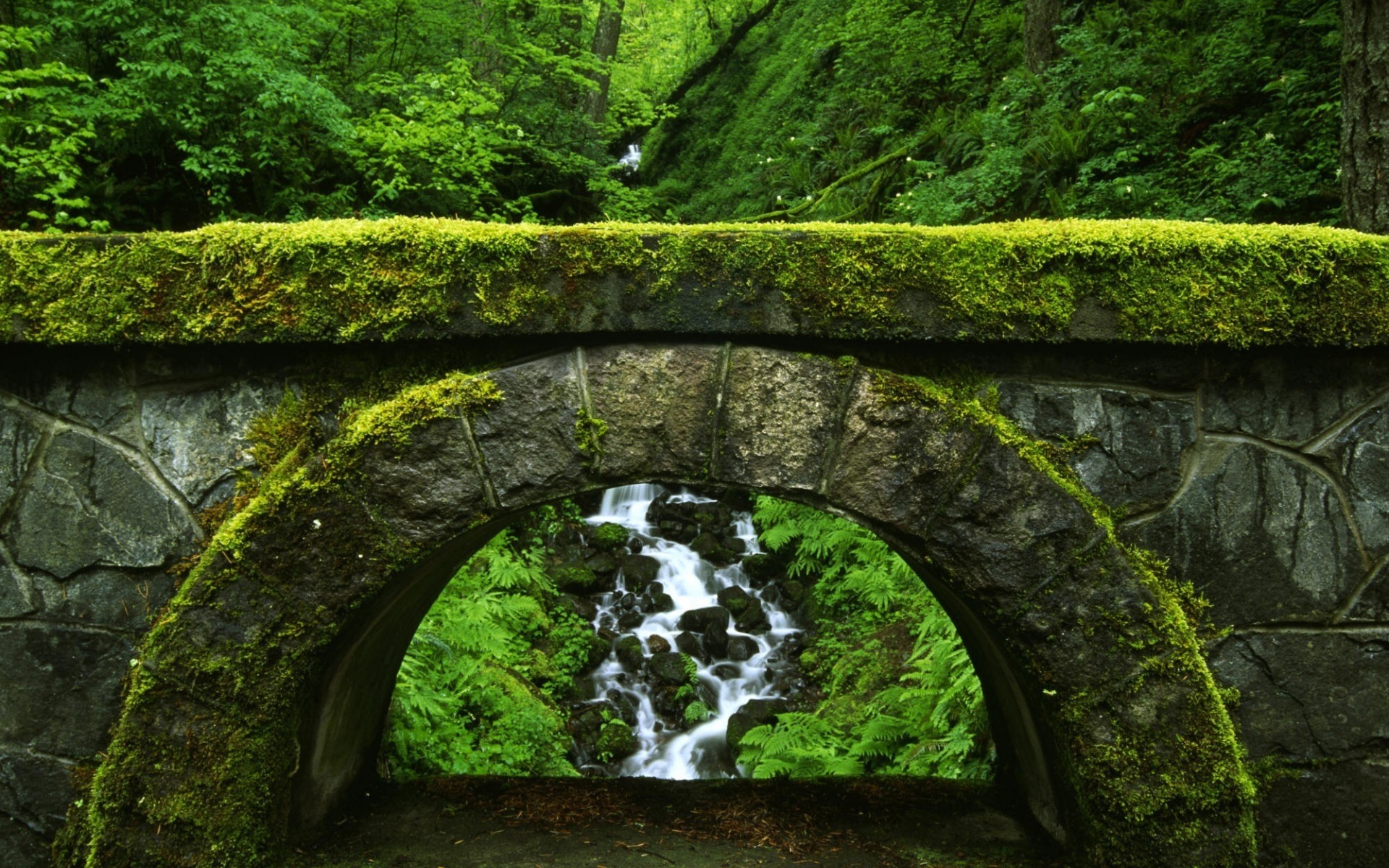 landscapes water travel landscape moss leaf scenic stone environment nature wood river outdoors tree park daylight background grass bridge