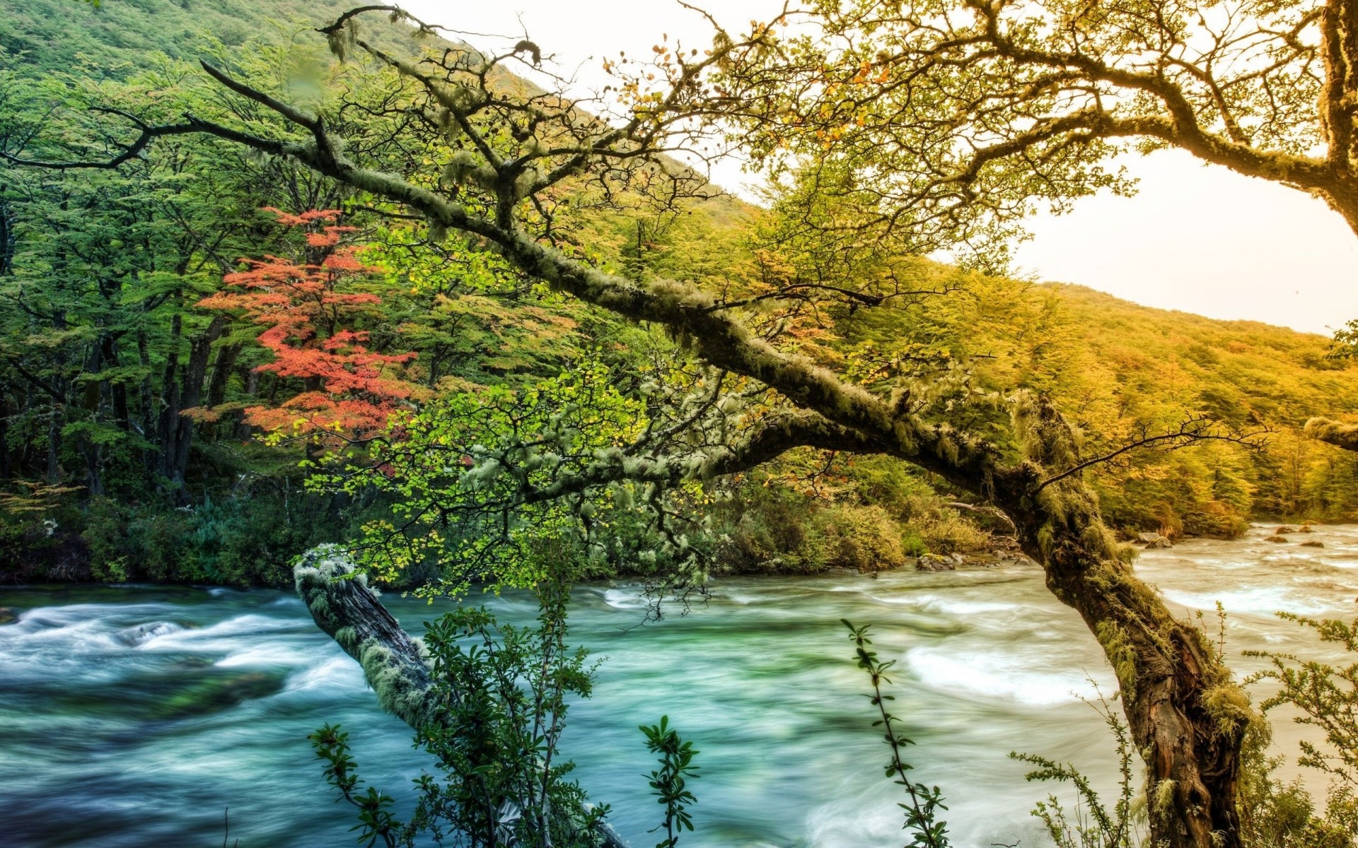 space nature water landscape tree wood fall river leaf scenic outdoors scenery stream season travel environment park lake summer mountain hdr poster hdr background hdr landscape hdr pics hi res hdr