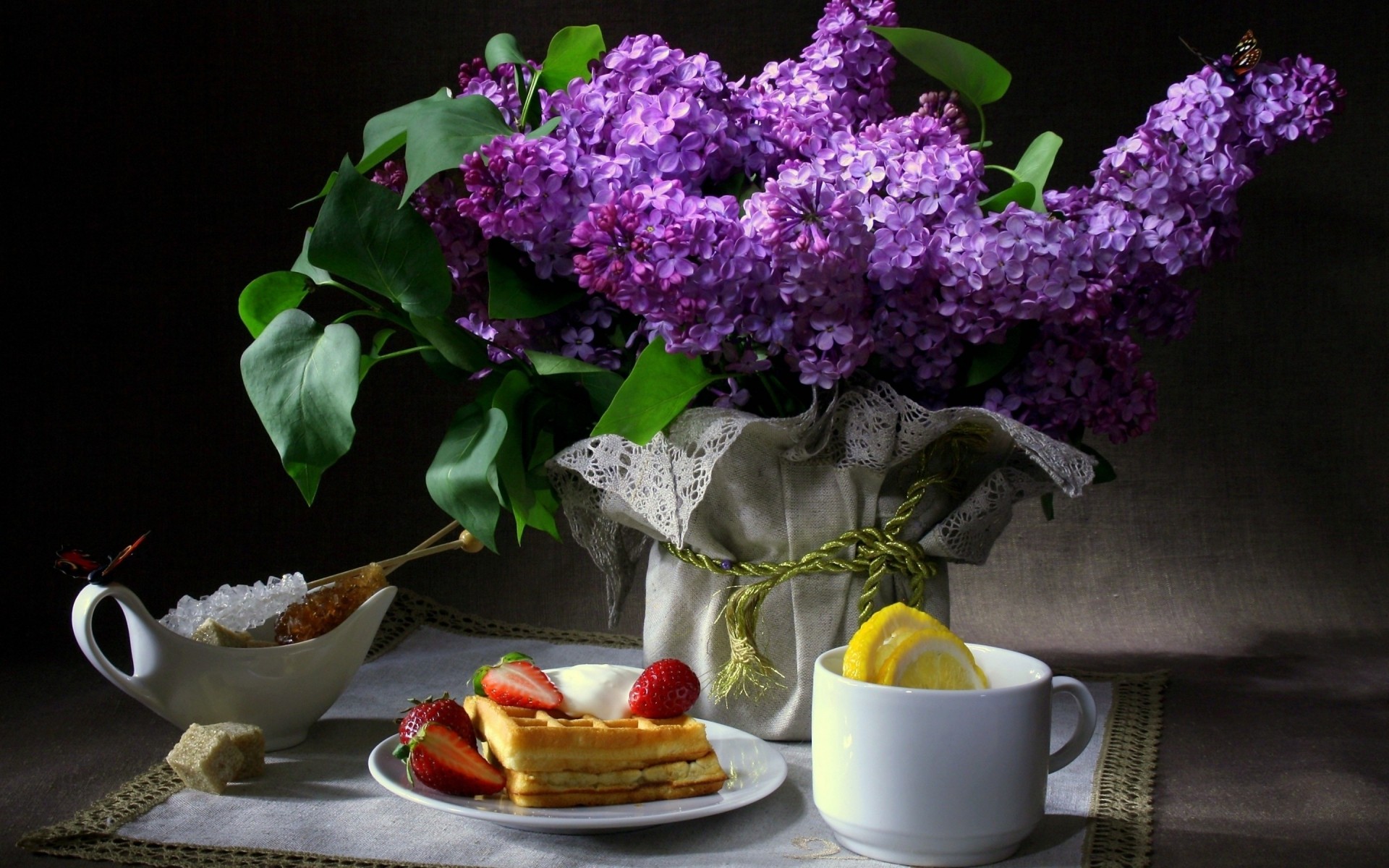 flowers flower leaf flora nature still life vase table lilac flower lilac pics lilac photo flower lilac