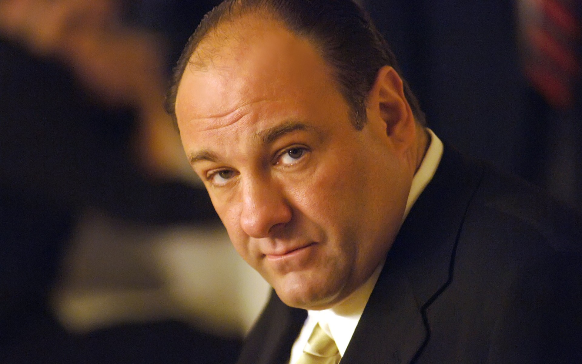 men business portrait leader man one politician outfit adult wear administration james gandolfini