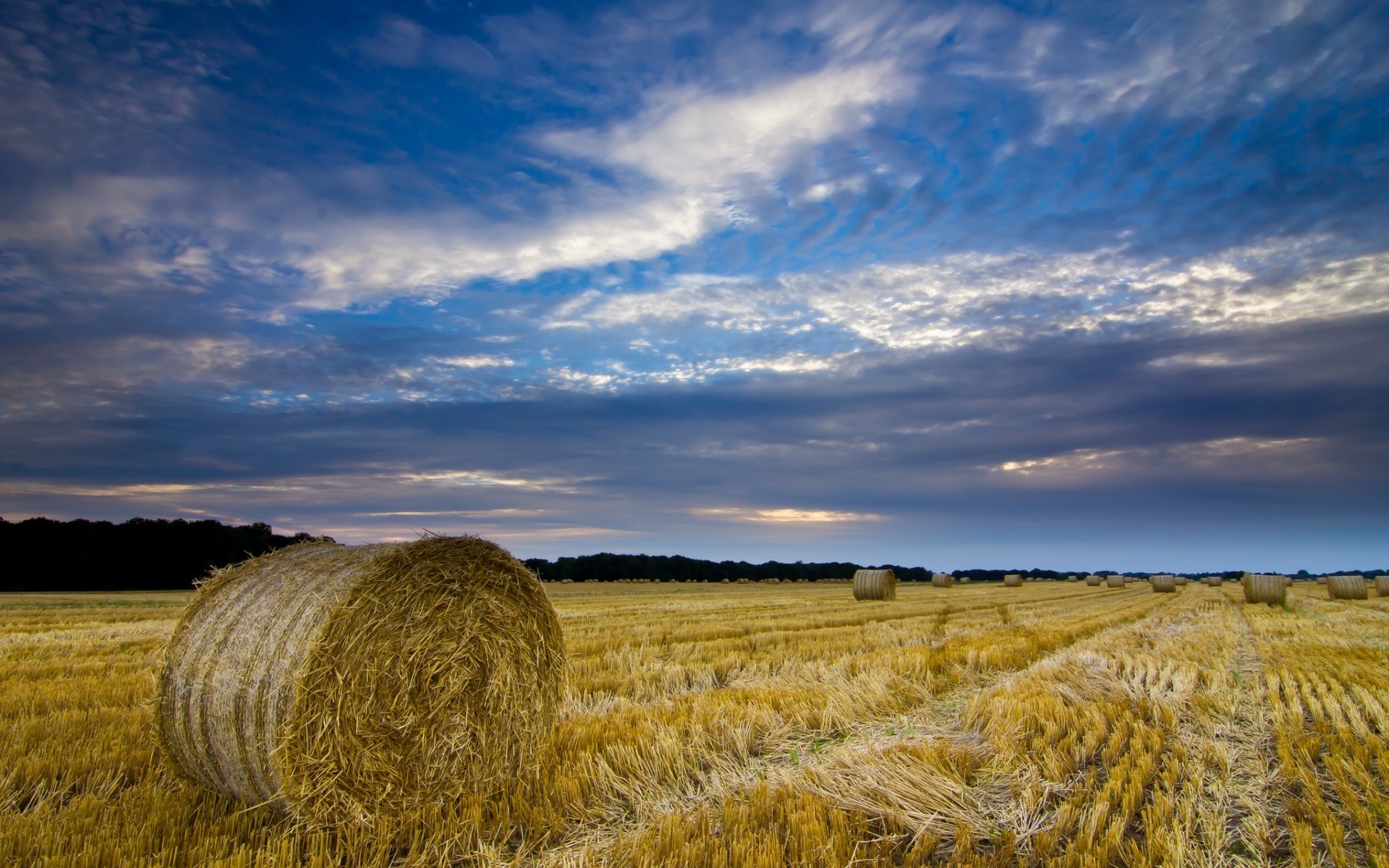 landscapes wheat agriculture pasture landscape straw farm hay rural cereal sky countryside field crop cropland outdoors corn gold nature daylight fields
