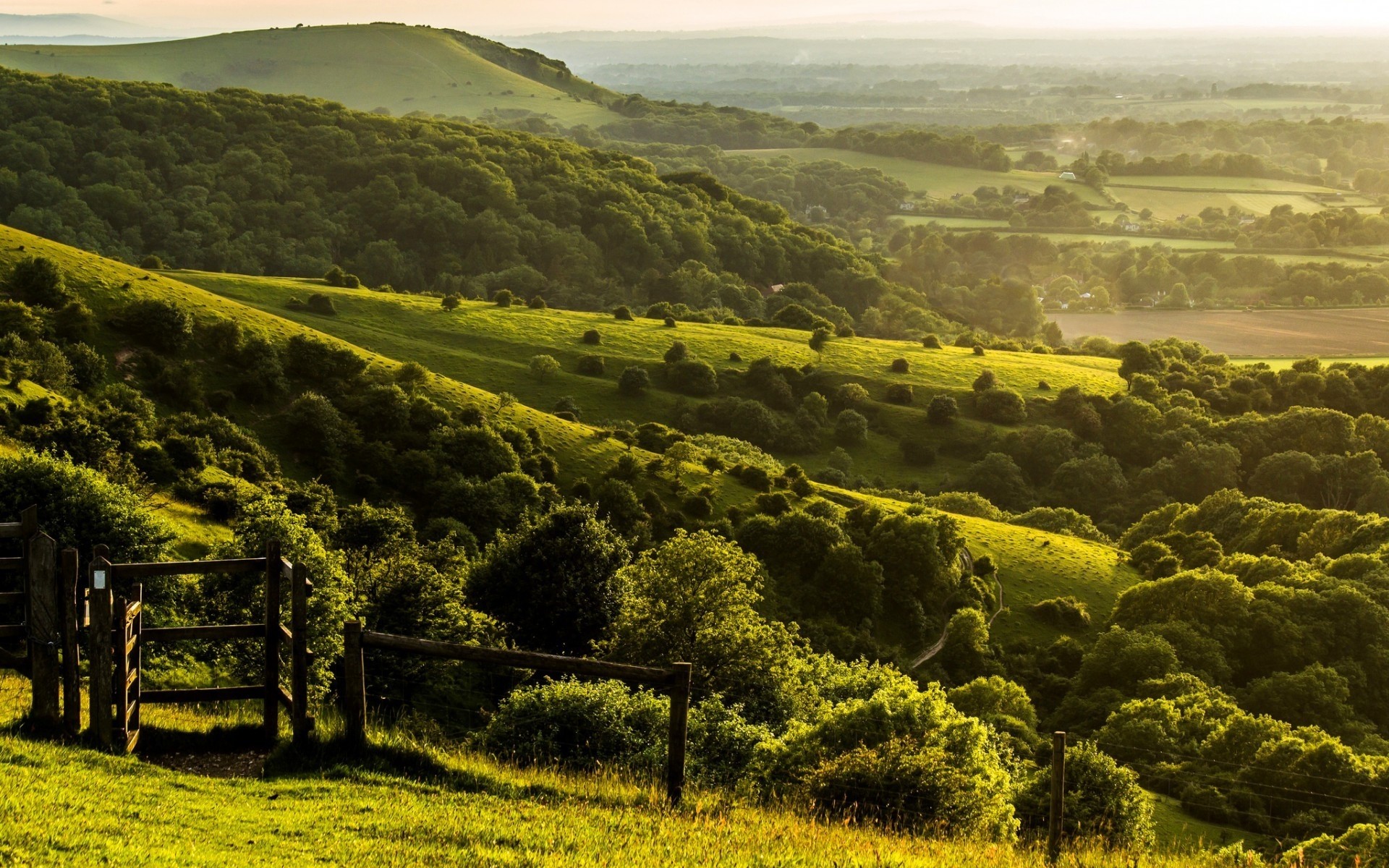 landscapes landscape cropland agriculture hill field farm countryside nature tree outdoors rural scenic sky cypress country travel pastoral vineyard valley hills forest