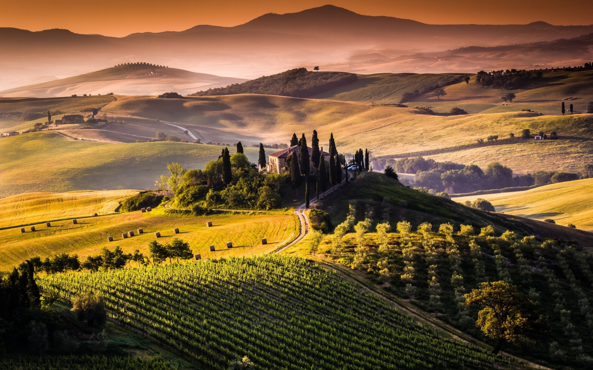 italy agriculture vineyard cropland landscape travel outdoors vine hill valley sunset countryside nature sky farm scenic rural field tree evening toscana tuscany