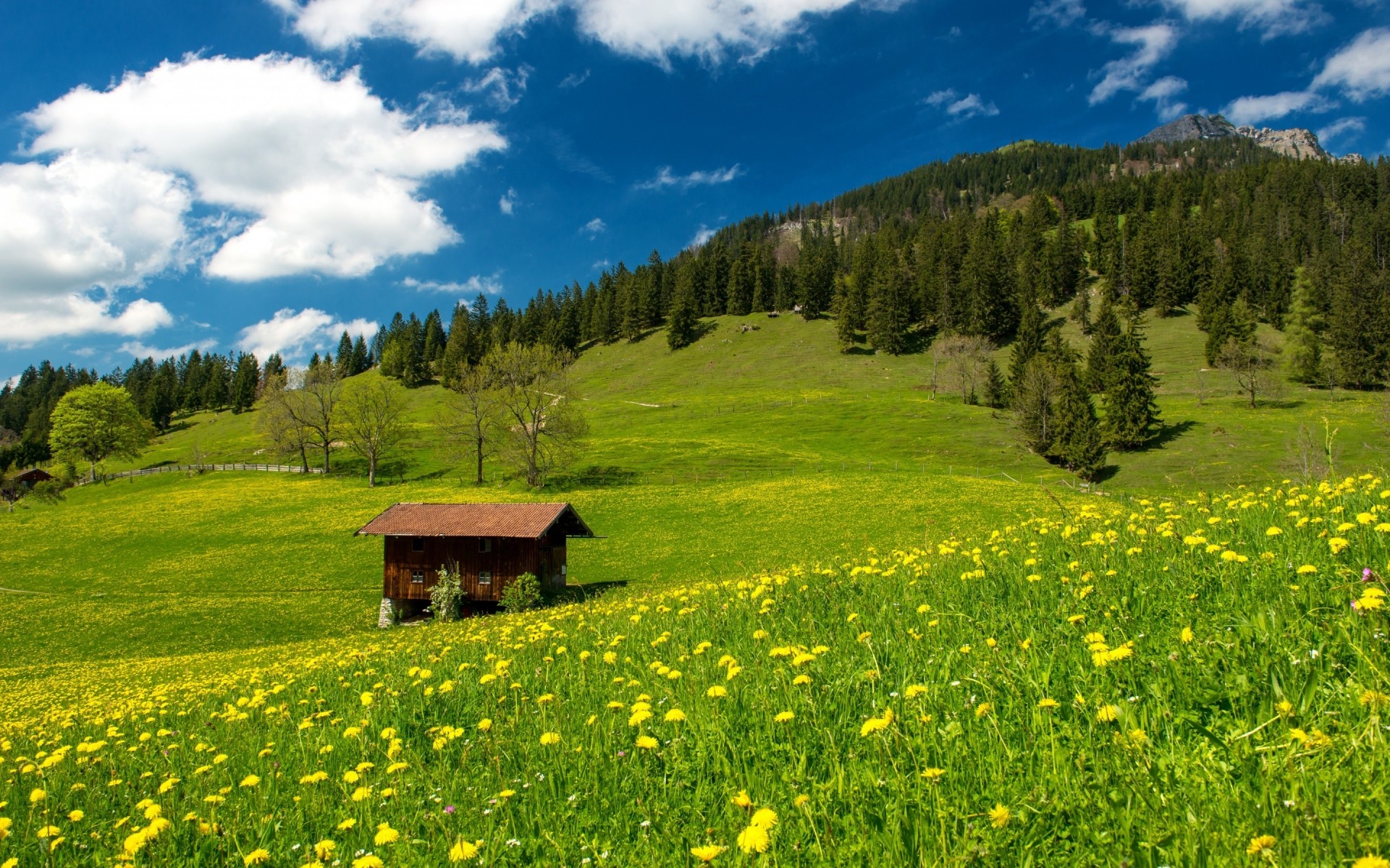 germany landscape hayfield nature mountain grass summer wood scenic field outdoors rural sky tree grassland country sight pasture idyllic travel mountains hills