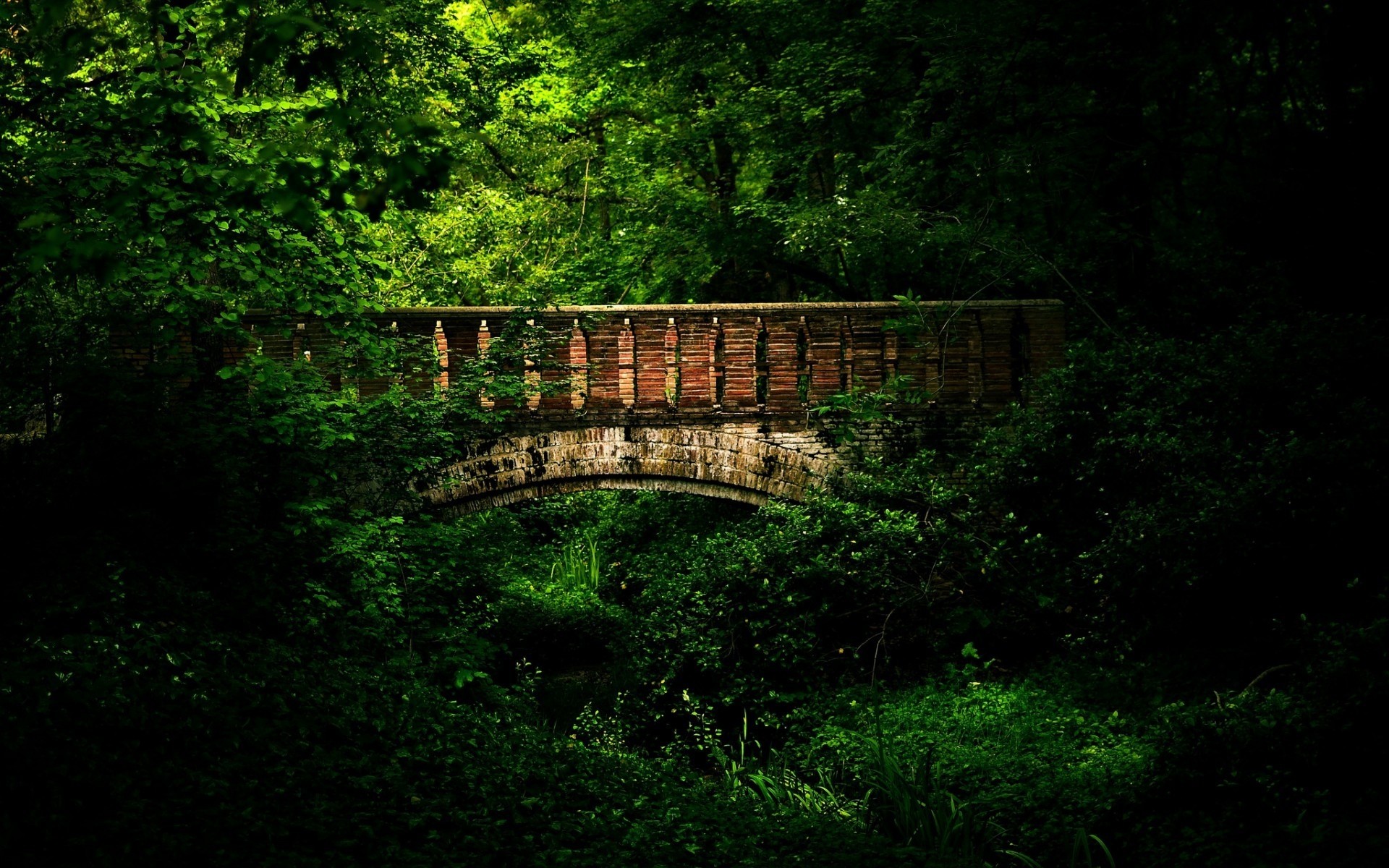 spain wood bridge landscape tree leaf nature old outdoors daylight park fence madrid forest