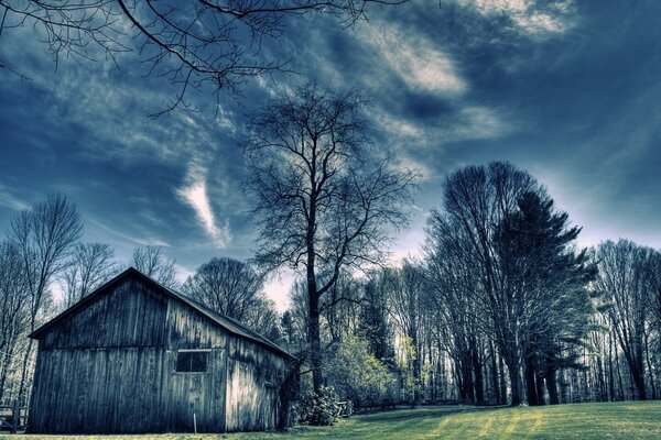 Landscape barn in the forest