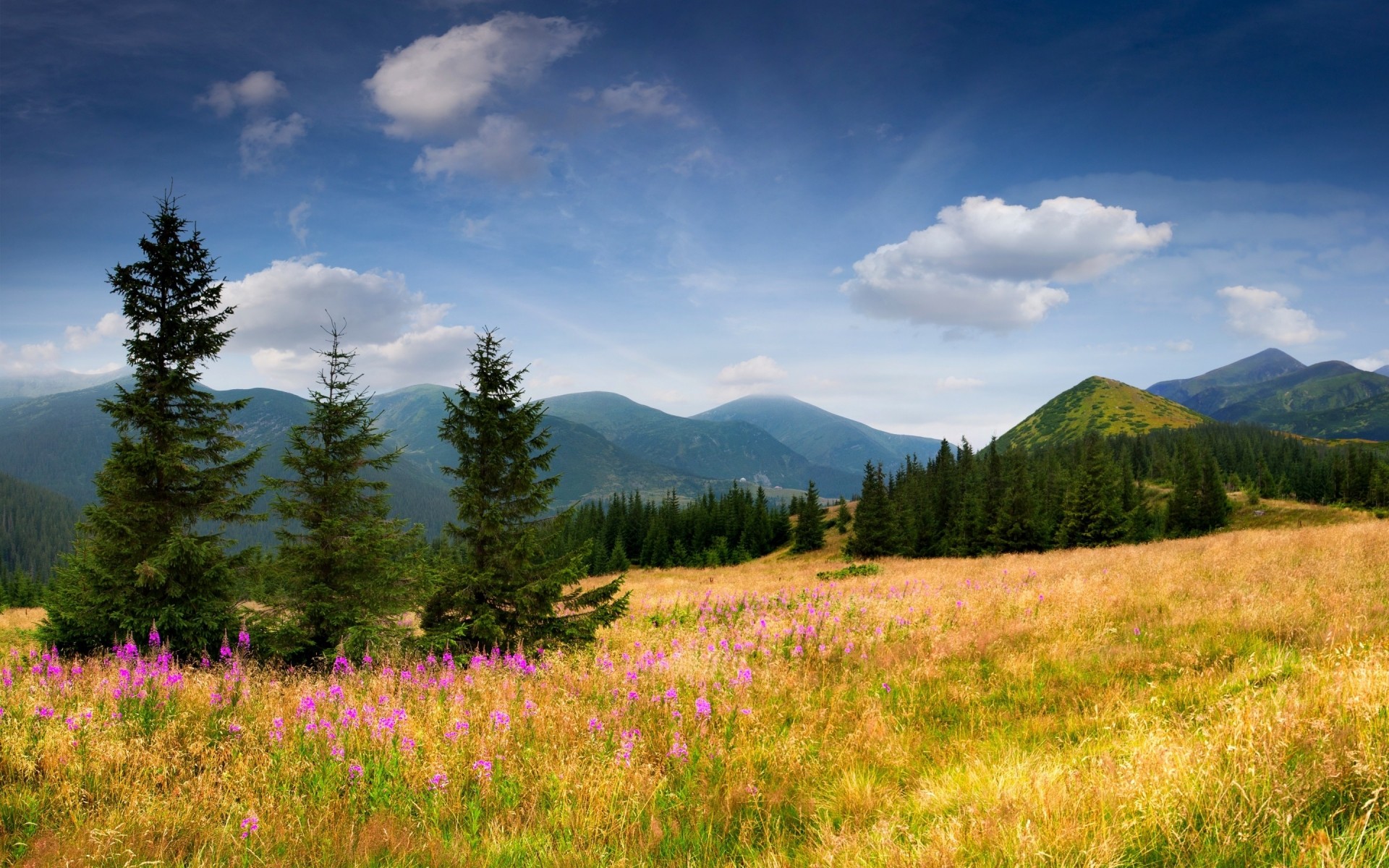 sports landscape nature mountain summer grass wood outdoors sky travel tree scenic hayfield snow flower forest trees