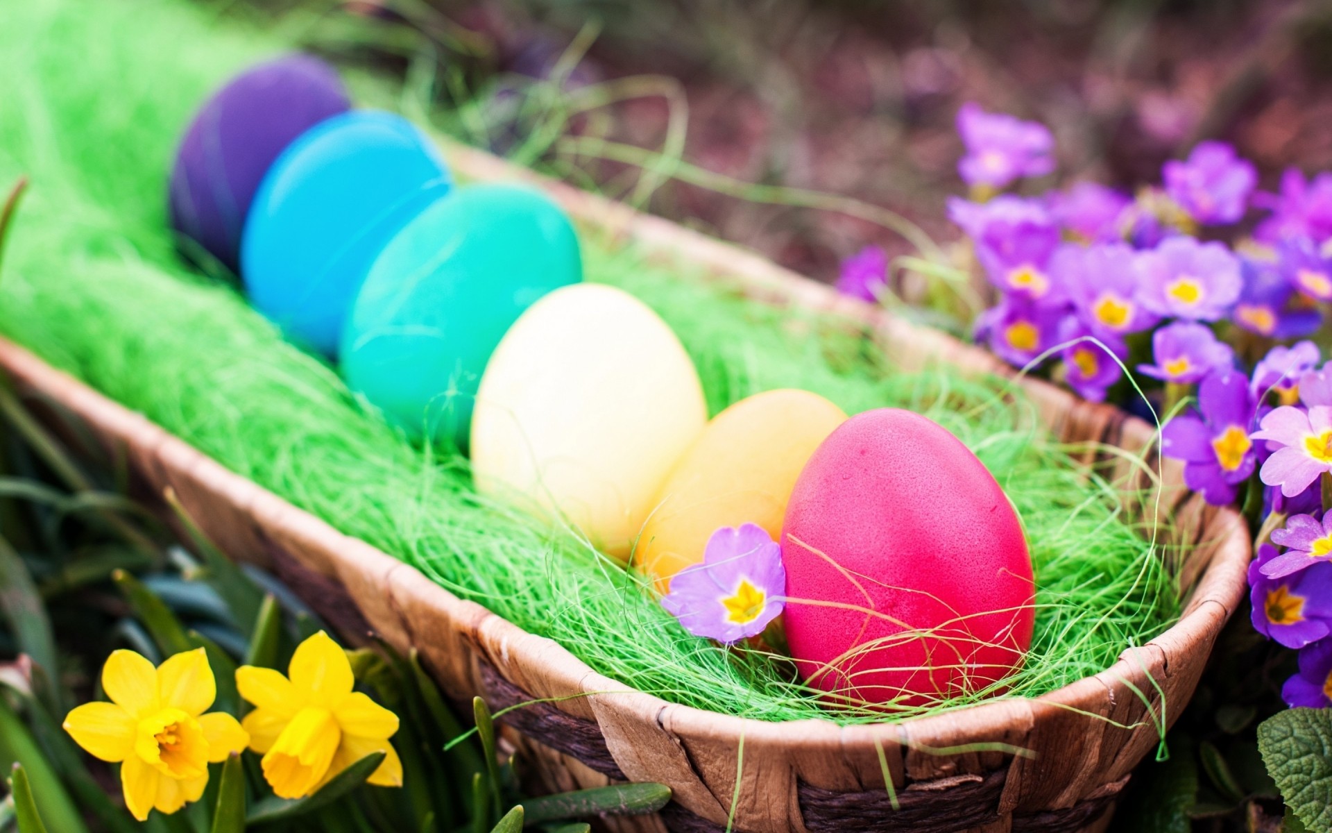 easter basket egg flower nature decoration celebration color easter egg season grass nest floral beautiful bright springtime gift desktop garden easter eggs 2014 easter 2014 easter eggs