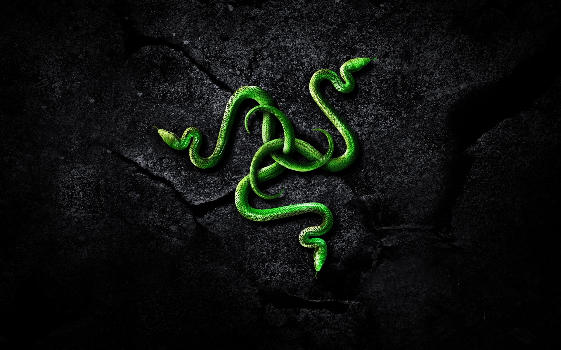 digital technology desktop snake nature symbol razer technology art