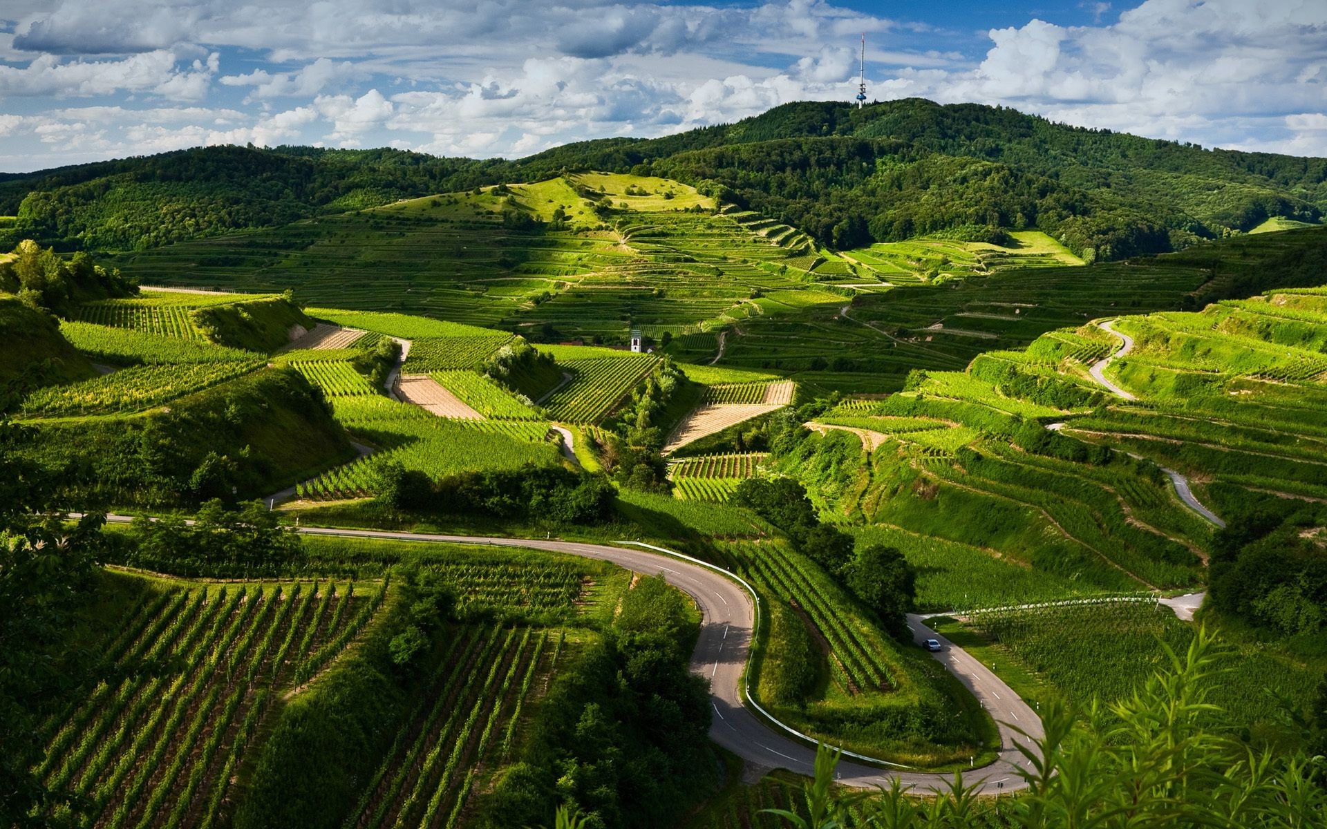 landscapes cropland agriculture travel landscape countryside vineyard valley farm hill field nature rural outdoors farmland tree sky vine grass mountain