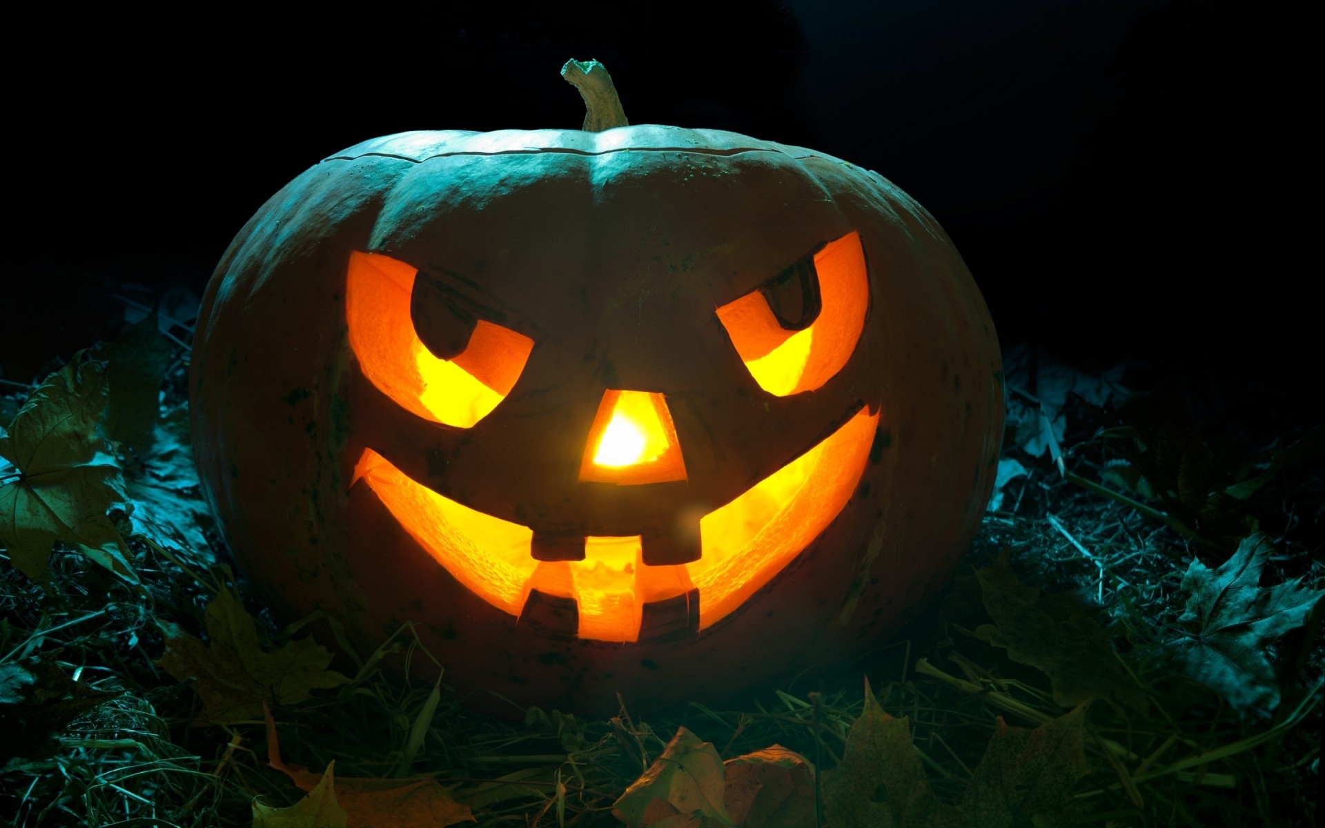 halloween pumpkin lantern eerie horror skittish vicious scary ghost creepy gourd moon haunt fear flame cemetery carve trick scary face pumpkin light