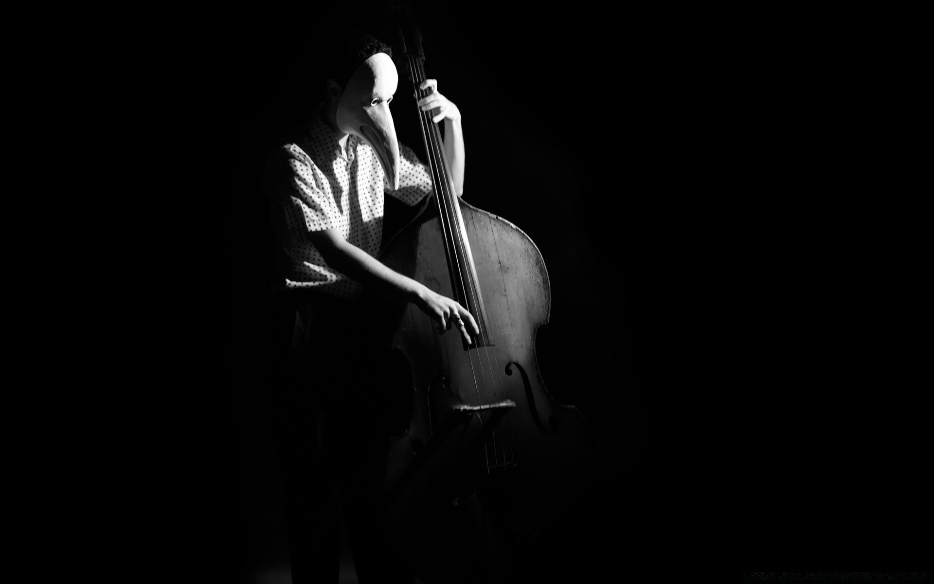 black and white music musician concert performance one instrument woman monochrome singer man adult band dark